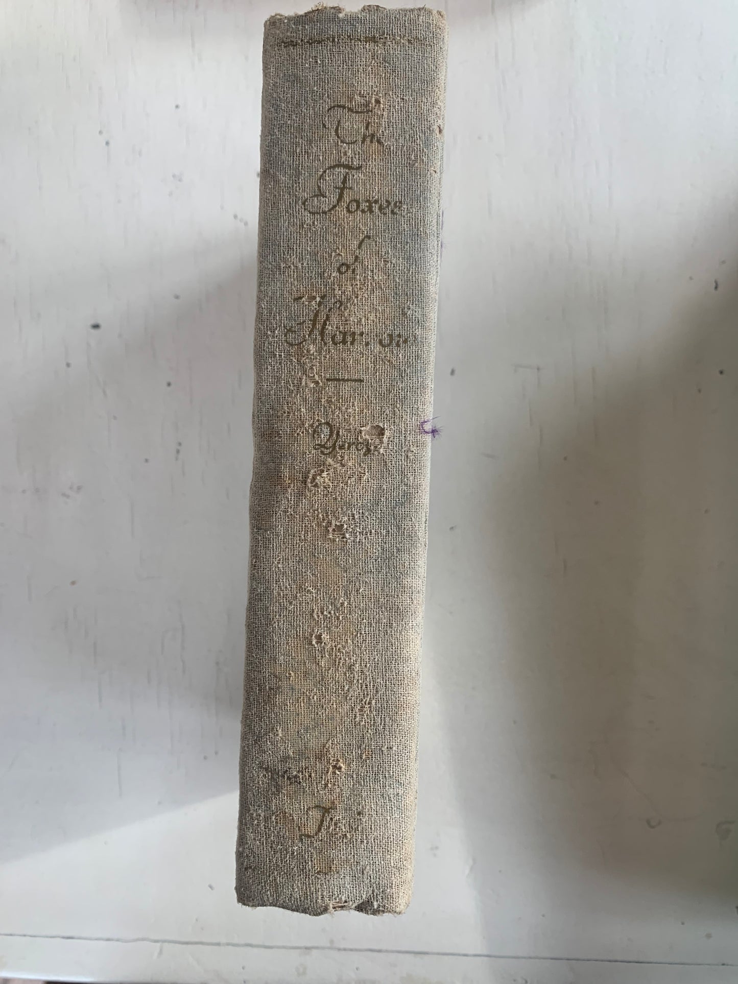 Foxes of Harrow, The