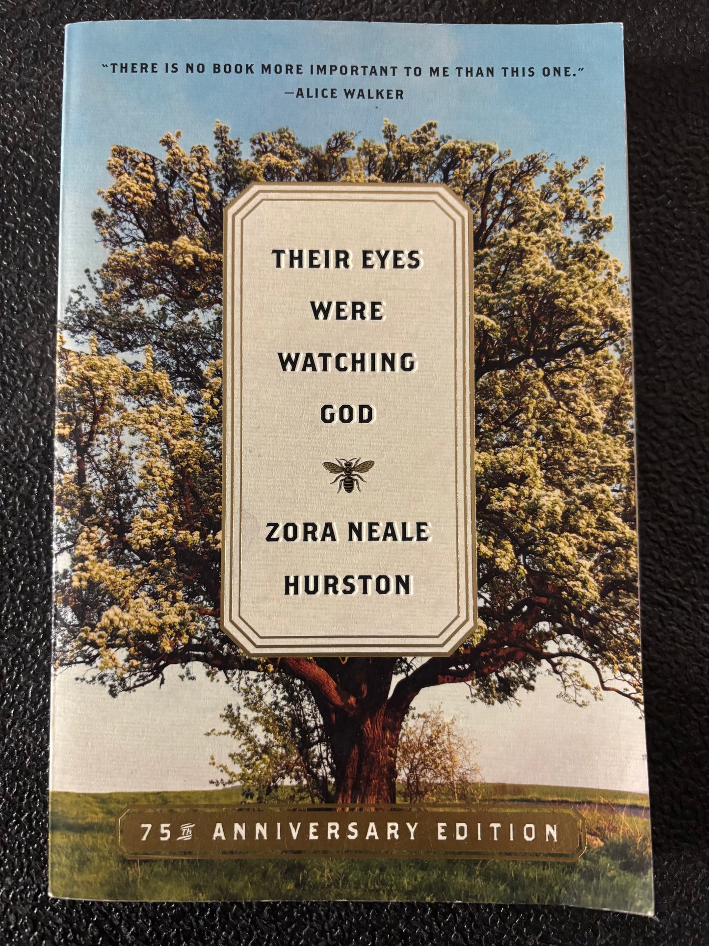 Their Eyes Were Watching God