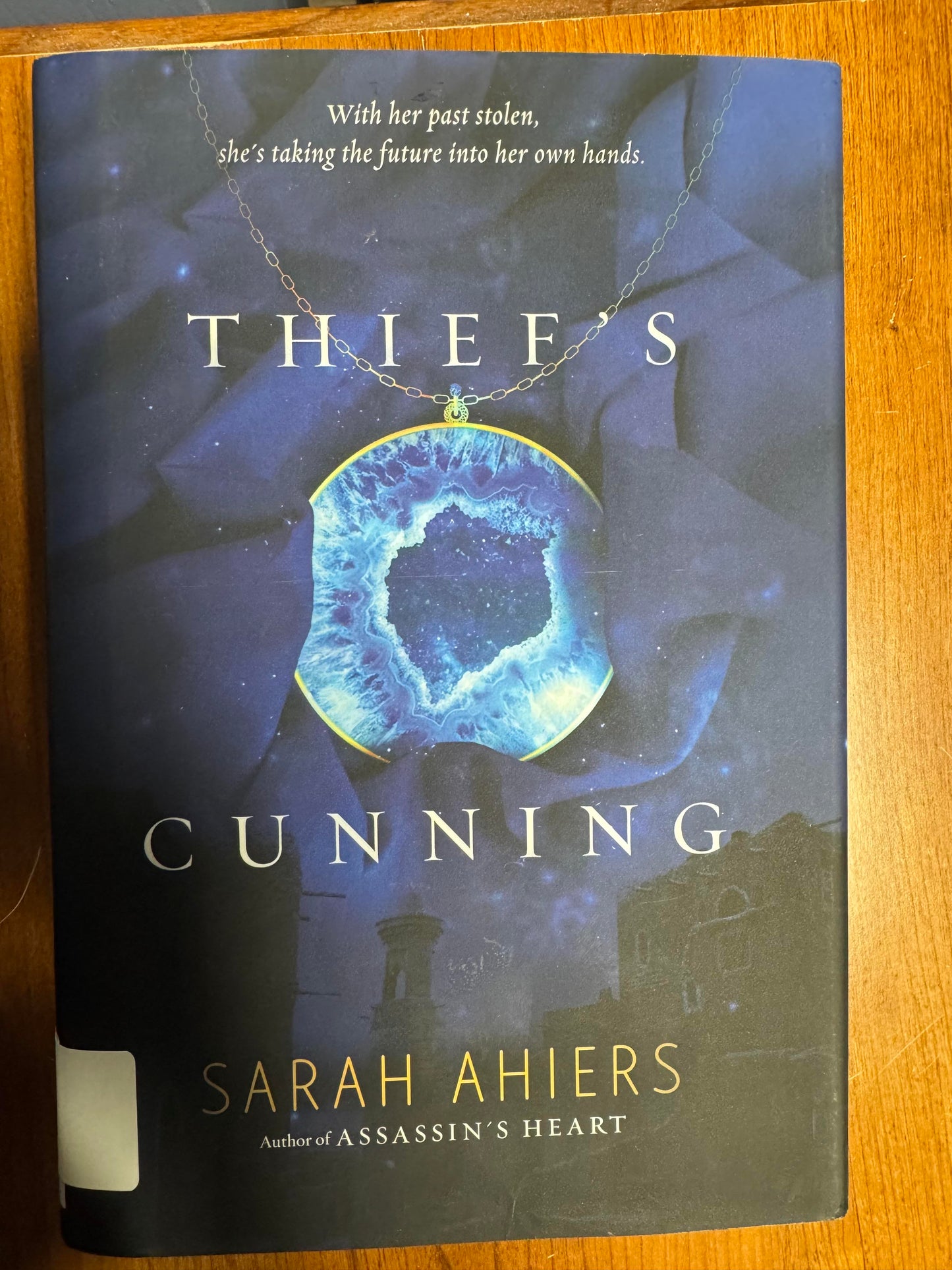 Thief's Cunning
