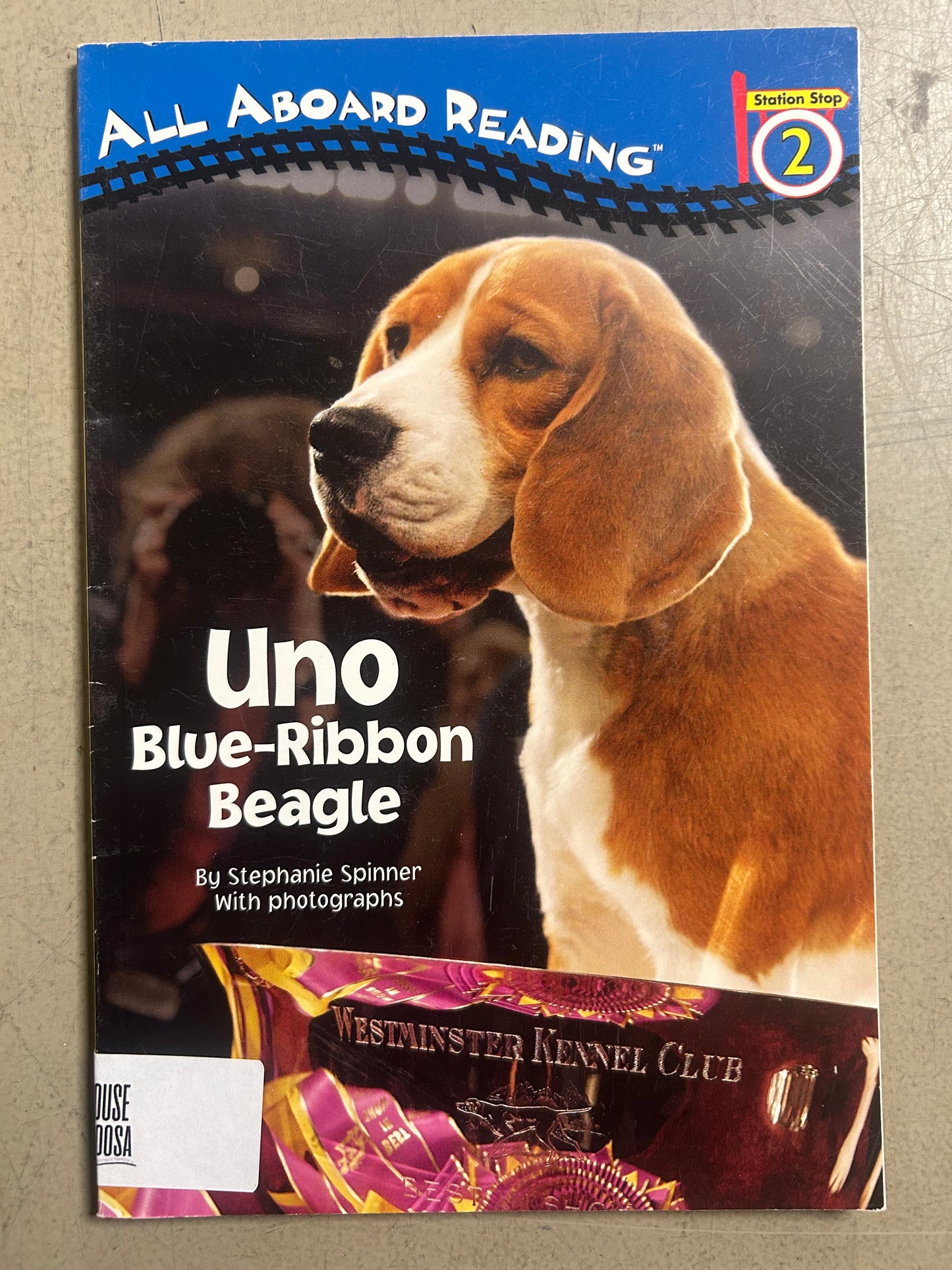 Uno: Blue-Ribbon Beagle