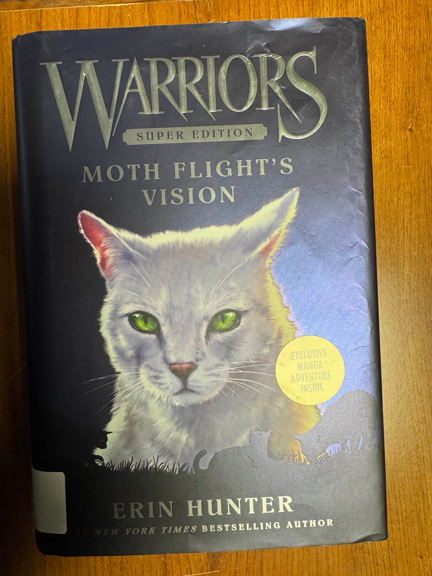 Warriors : Moth Flight's vision