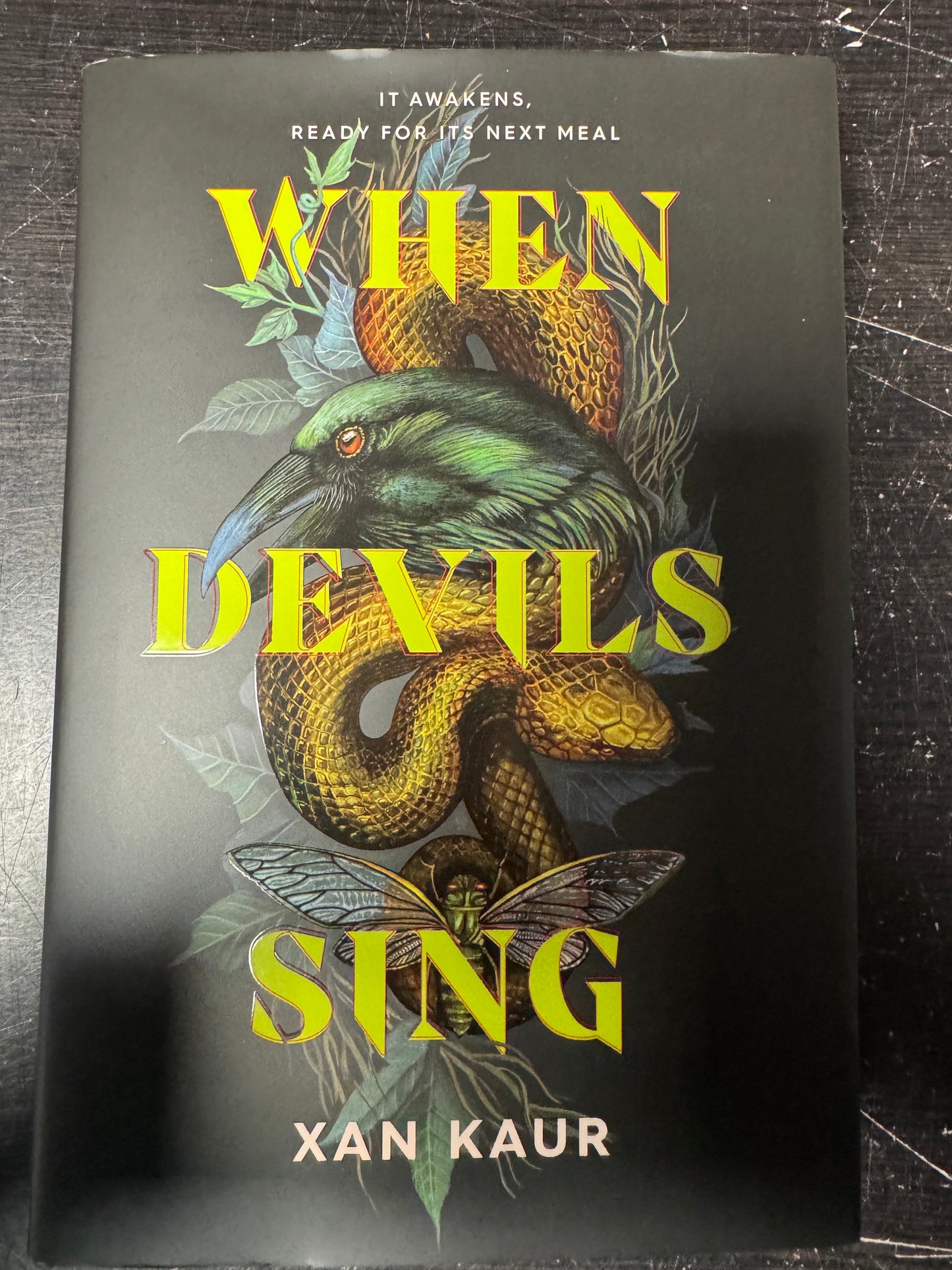 When Devils Sing