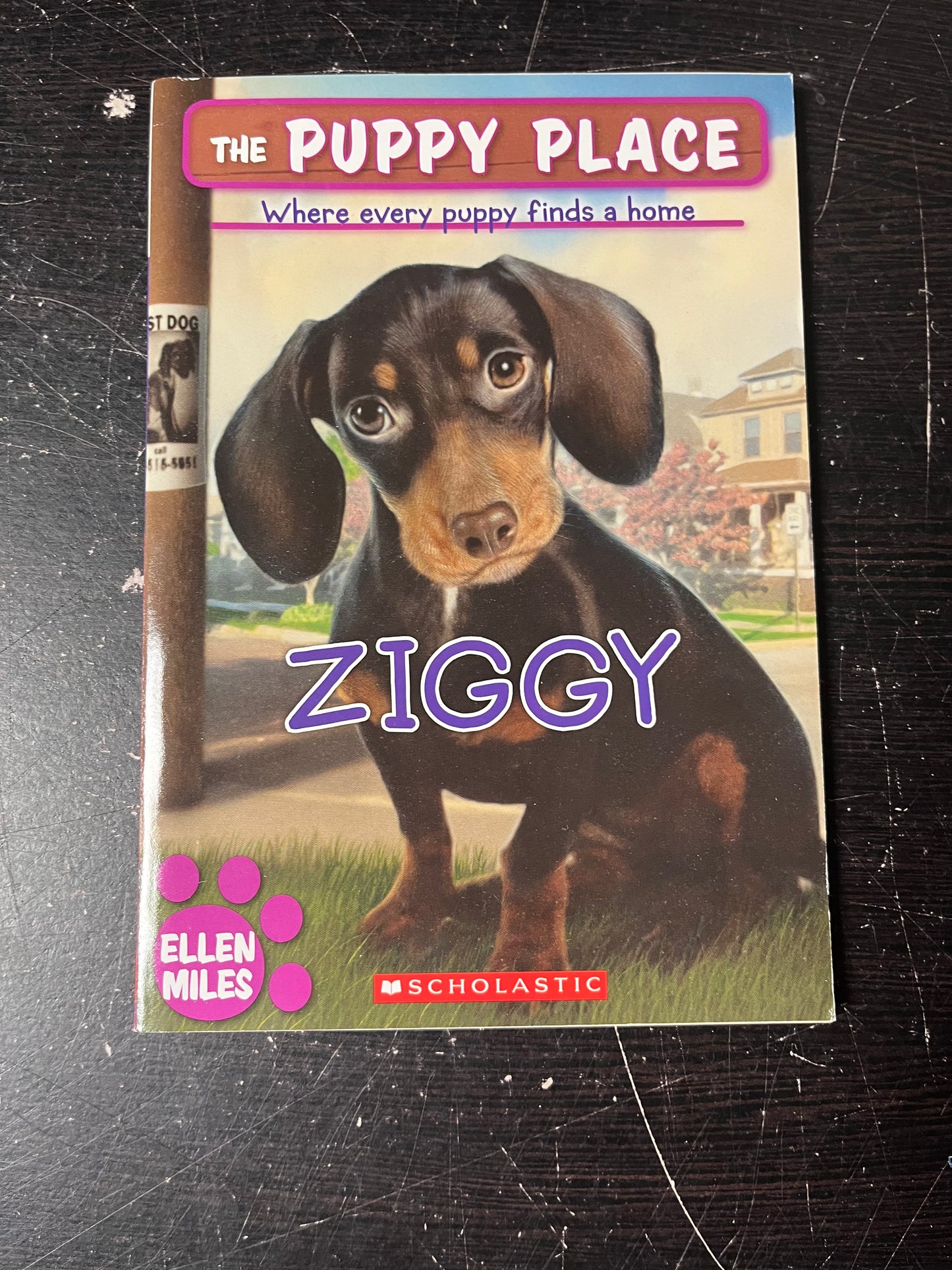 The Puppy Place: Ziggy
