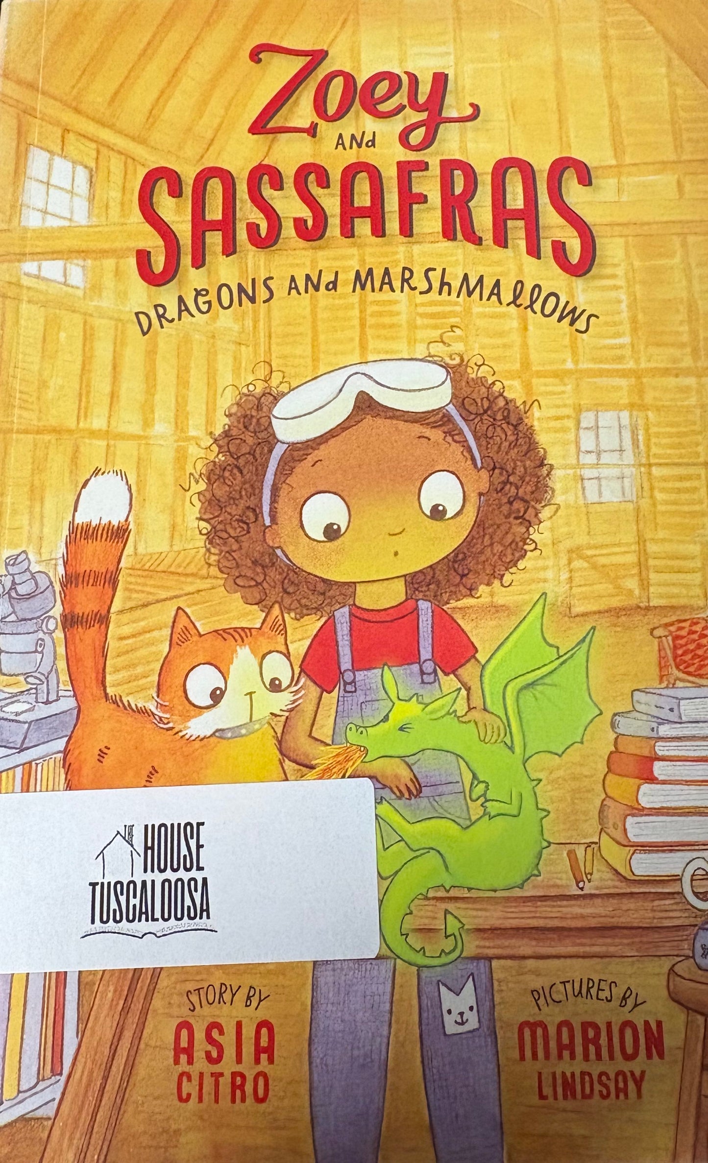 Dragons and Marshmallows