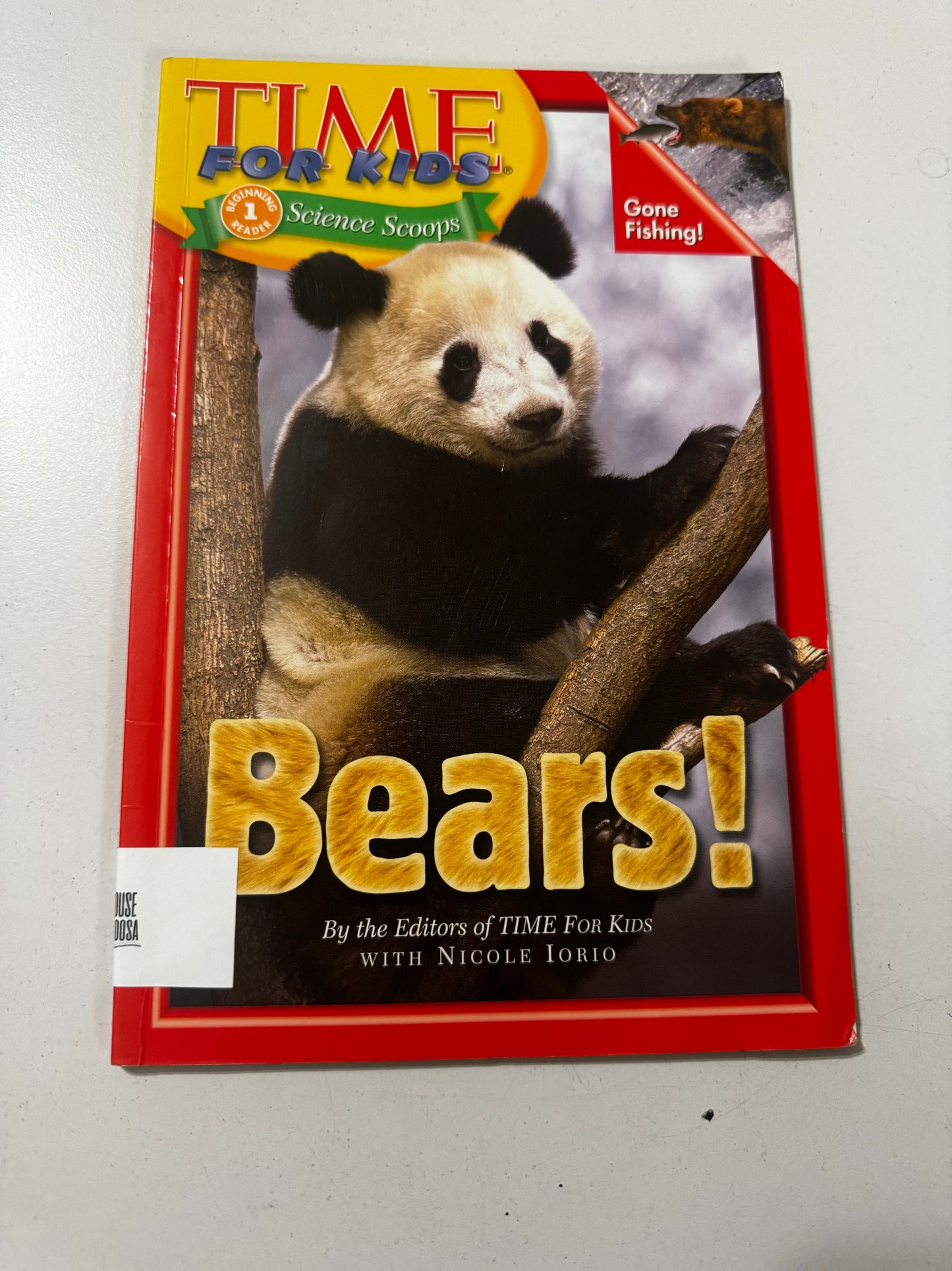 Time For Kids: Bears! (Time for Kids Science Scoops)