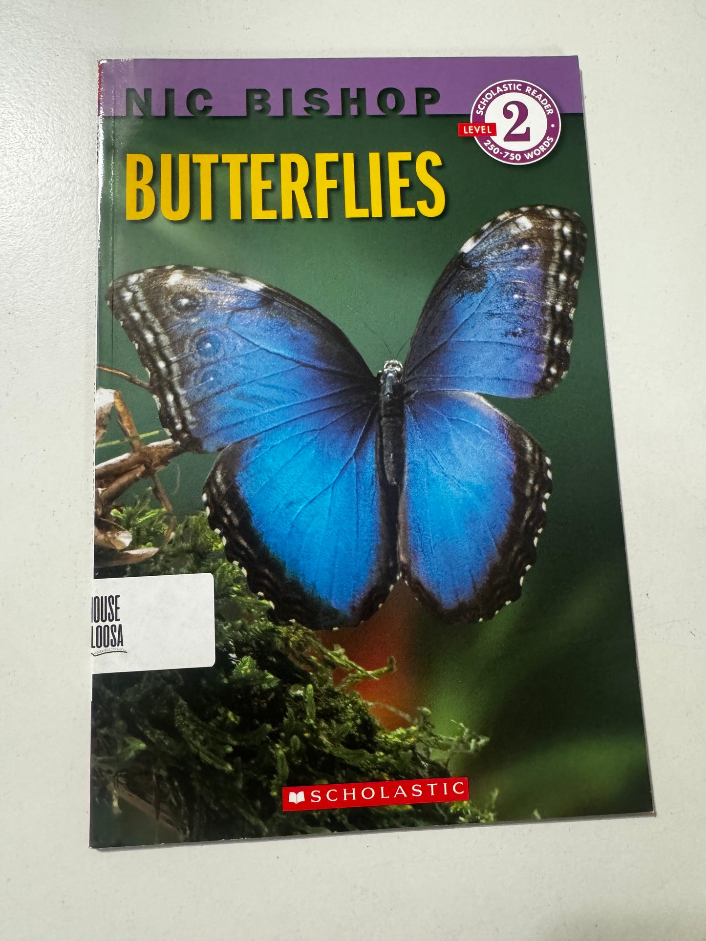 Scholastic Reader Level 2: Butterflies