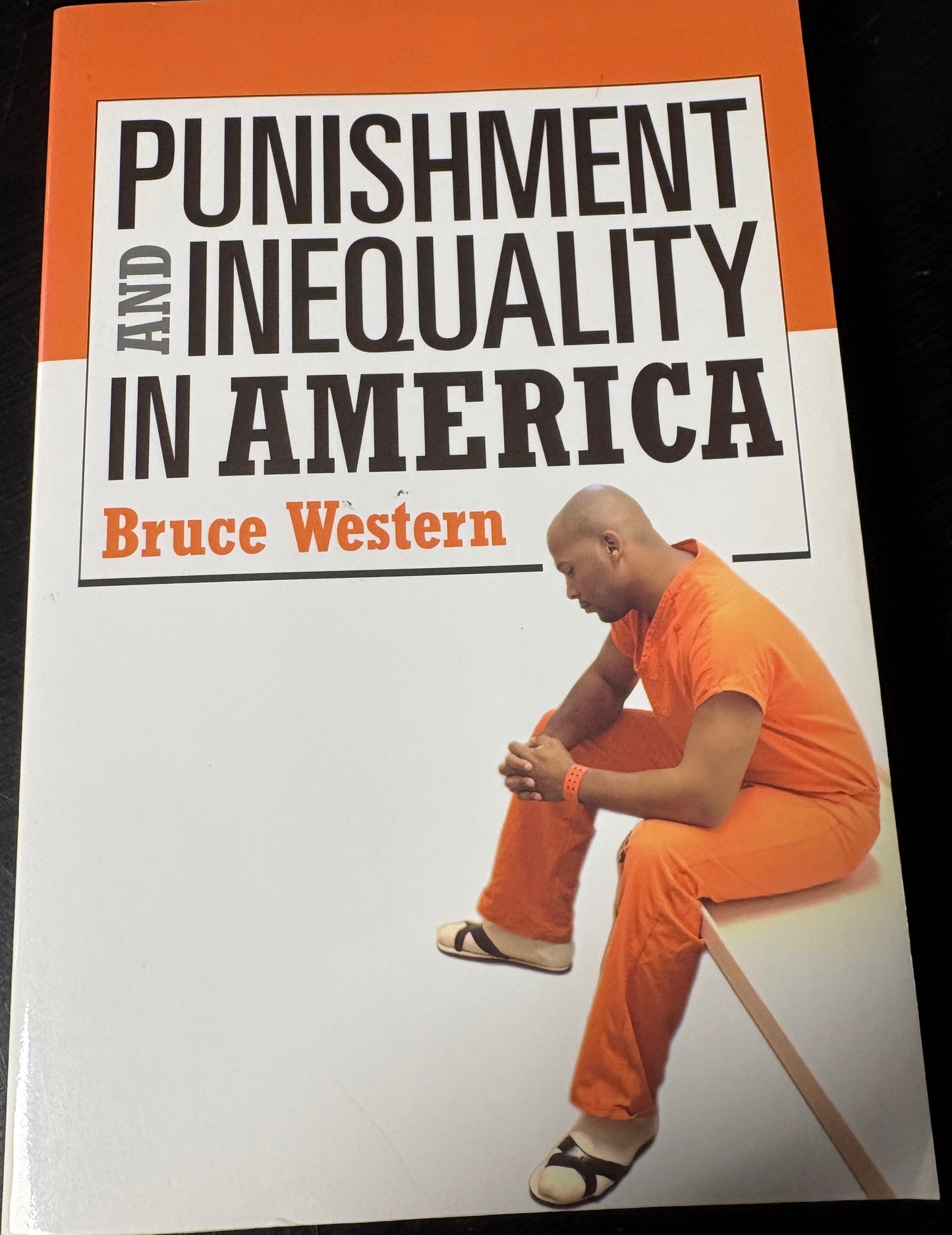 Punishment and Inequality in America
