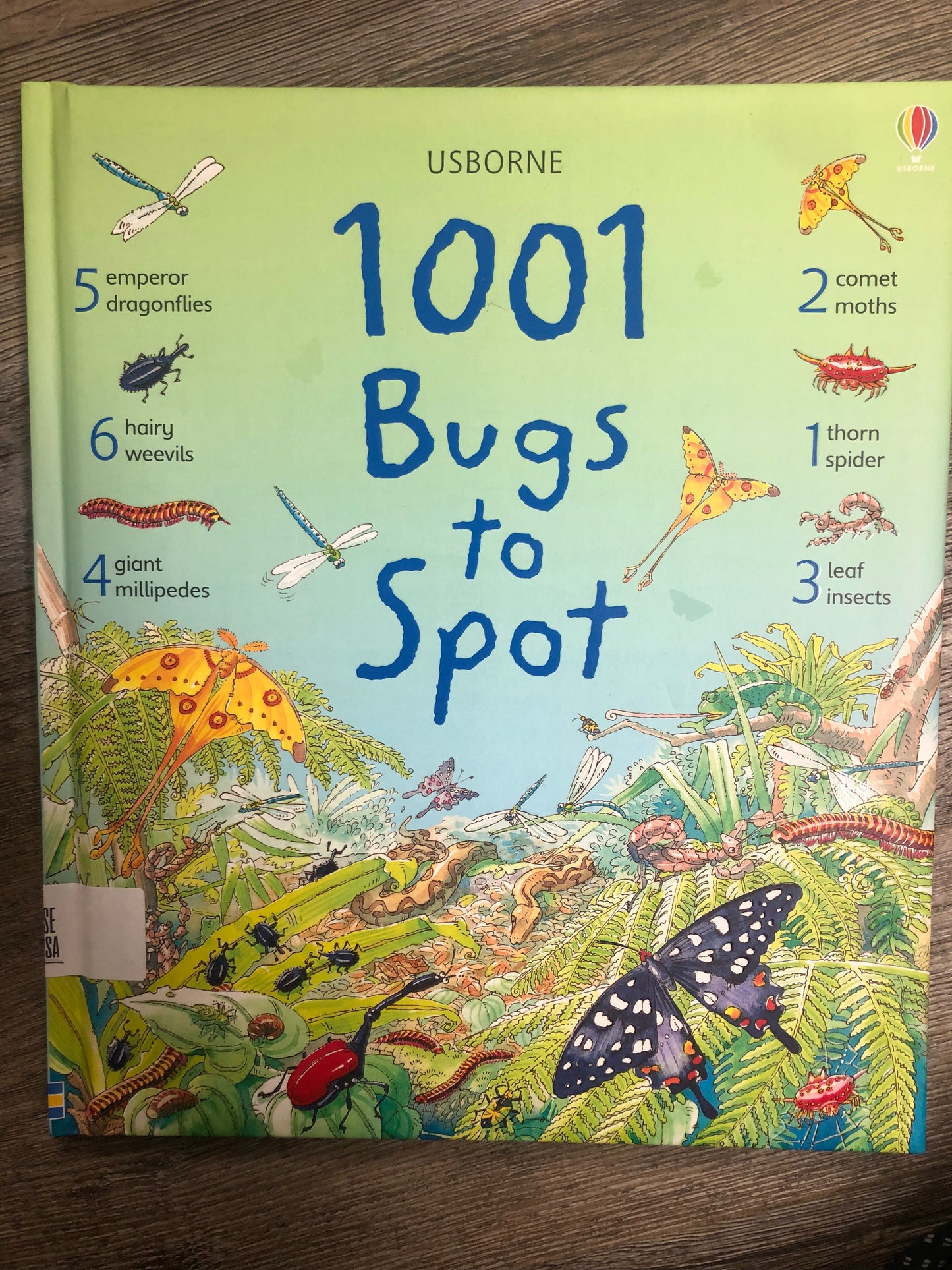 1001 Bugs to Spot (1001 Things to Spot)