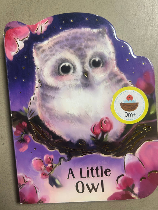 A Little Owl