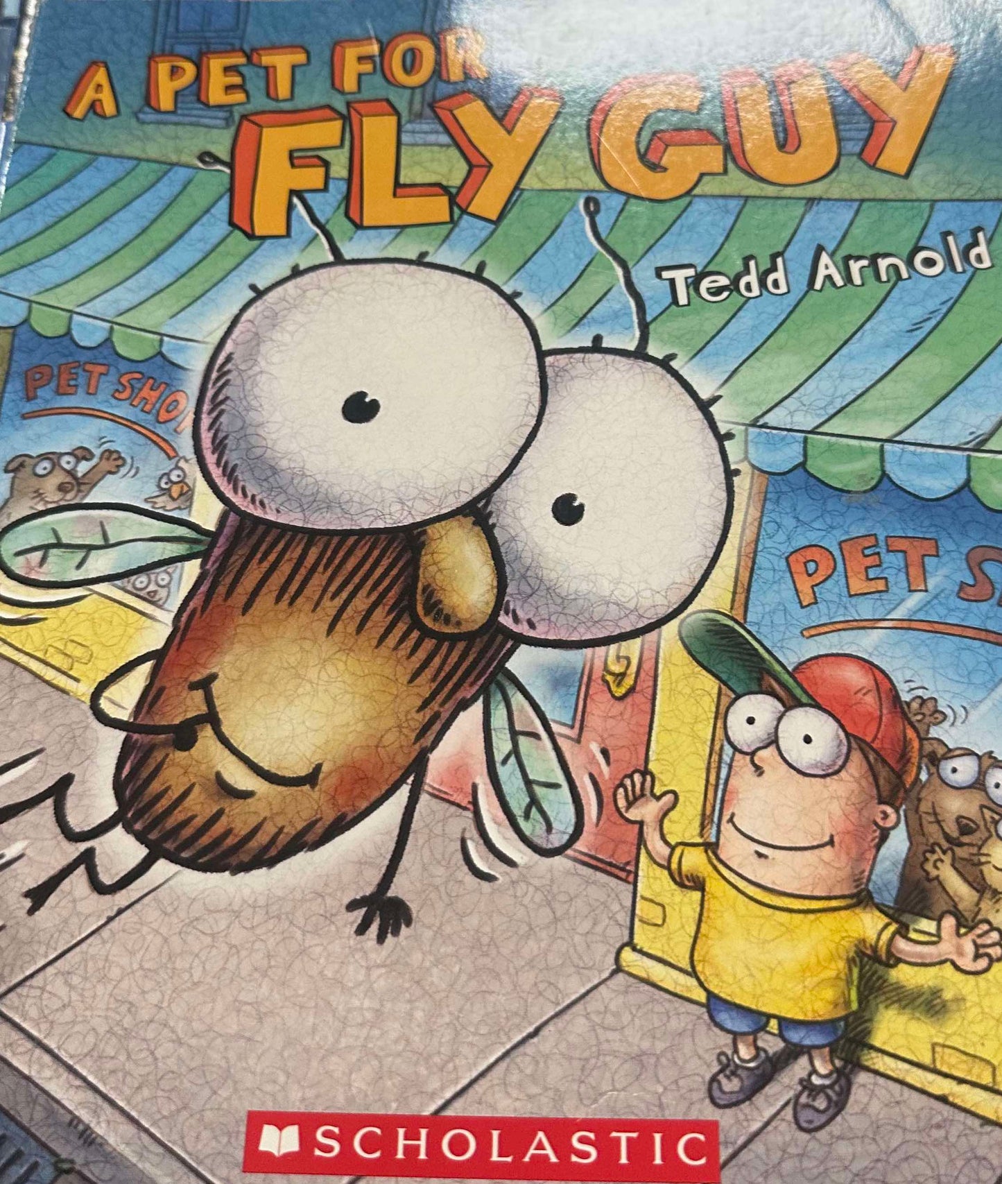 A Pet For Fly Guy