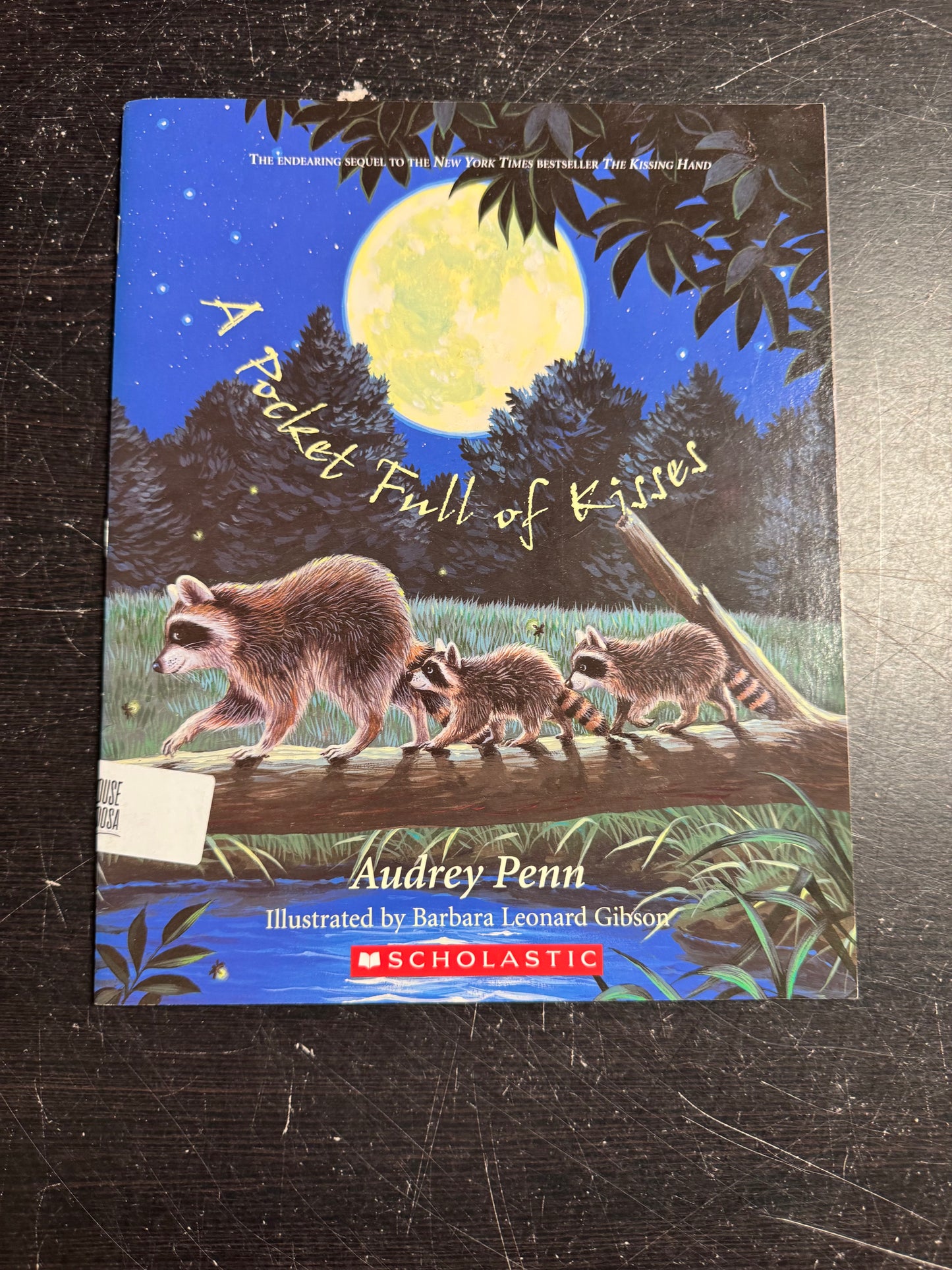 A Pocket Full of Kisses