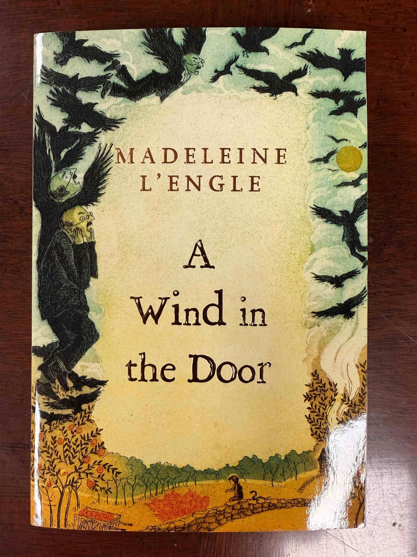 A wind in the door