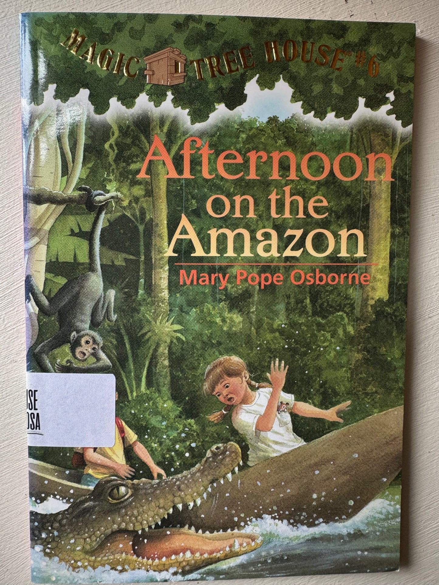 Magic Tree House #6 Afternoon on the Amazon