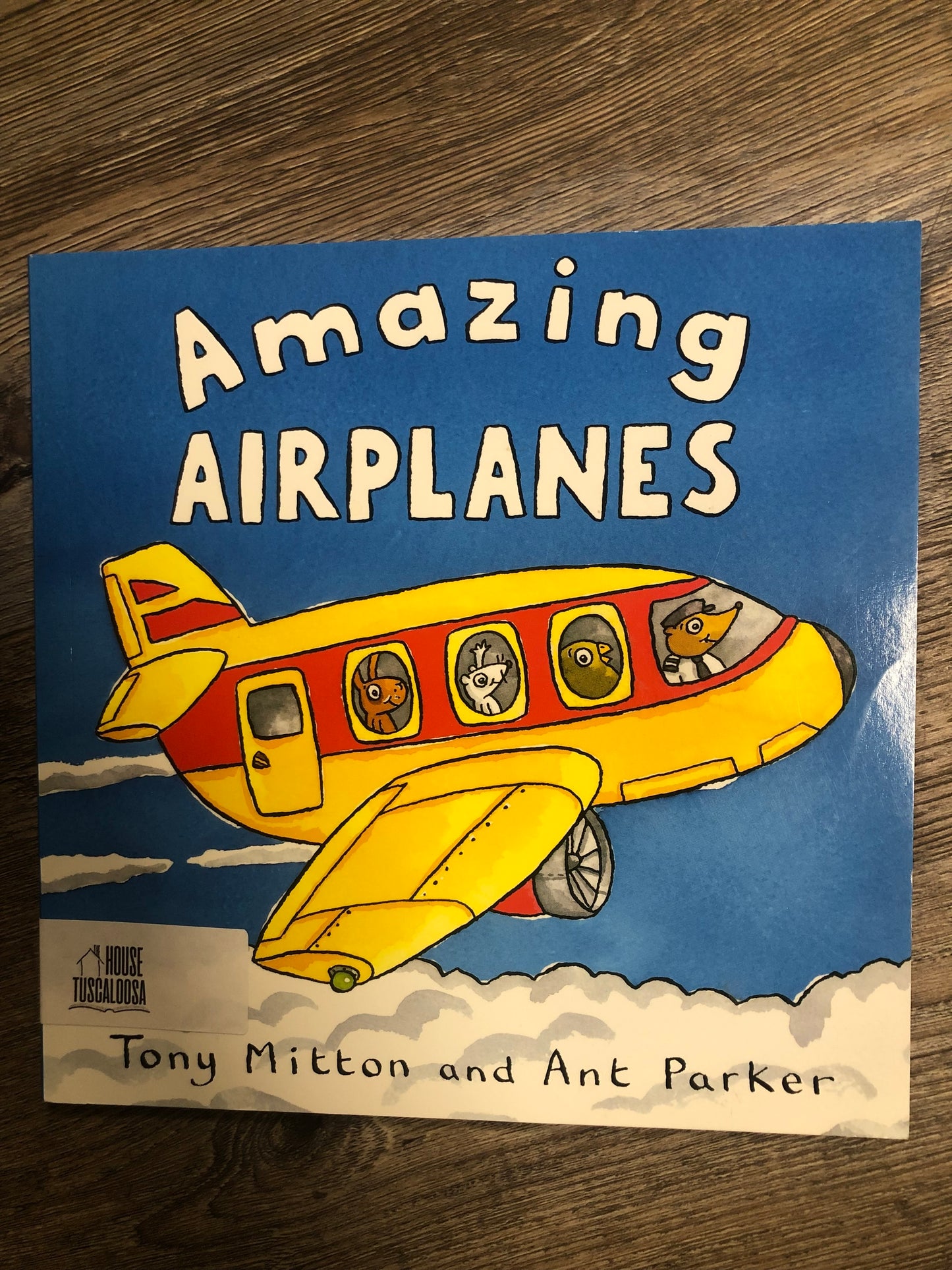 Amazing Airplanes (Amazing Machines)