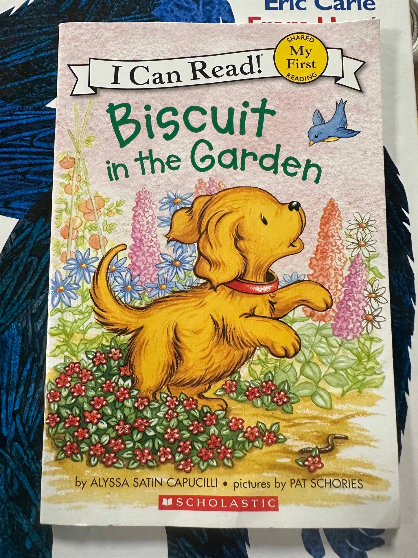 Biscuit in the Garden