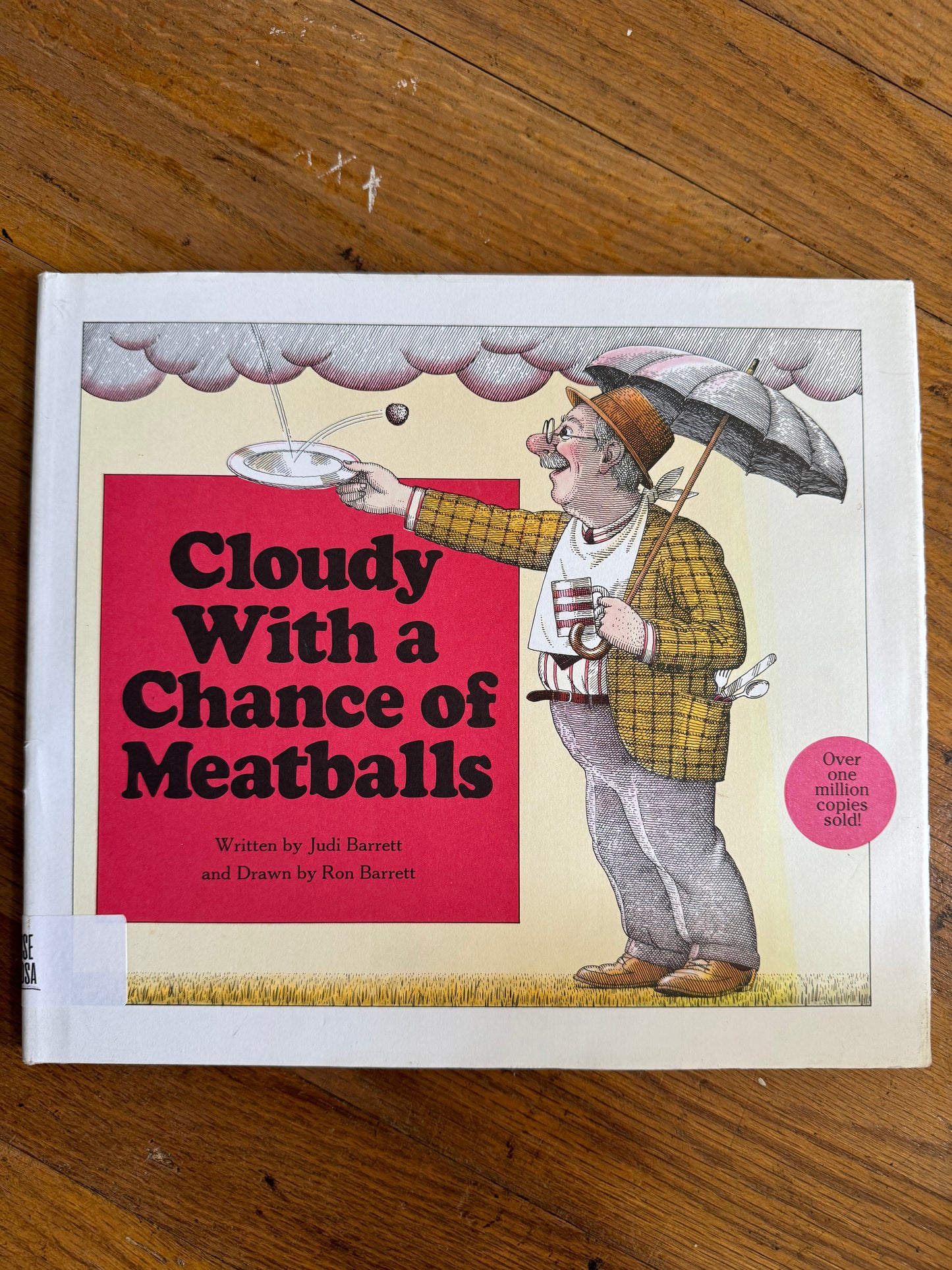 Cloudy With a Chance of Meatballs
