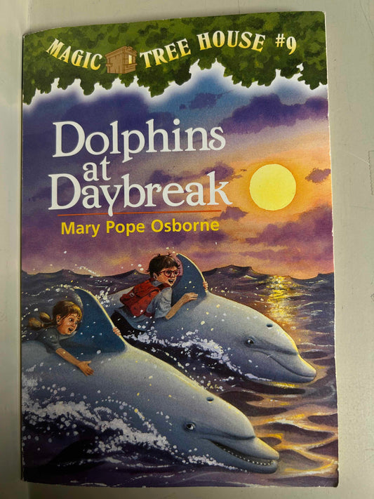 Dolphins at Daybreak