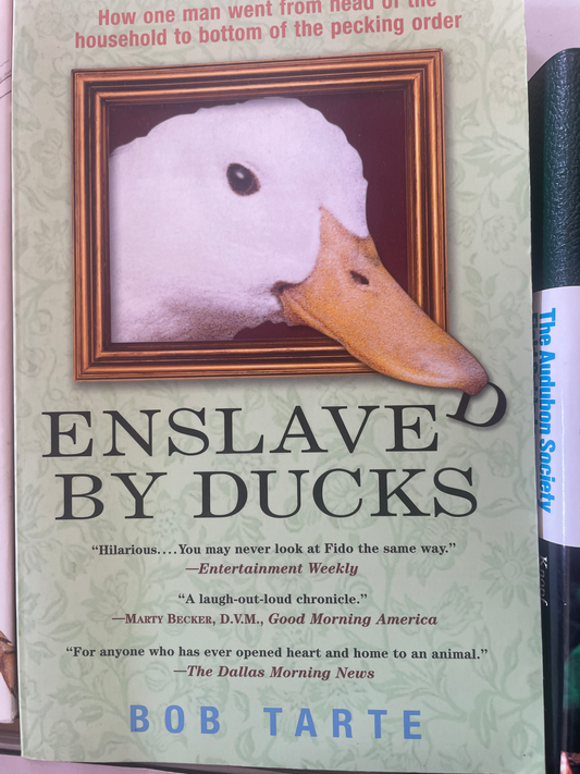 Enslaved by Ducks
