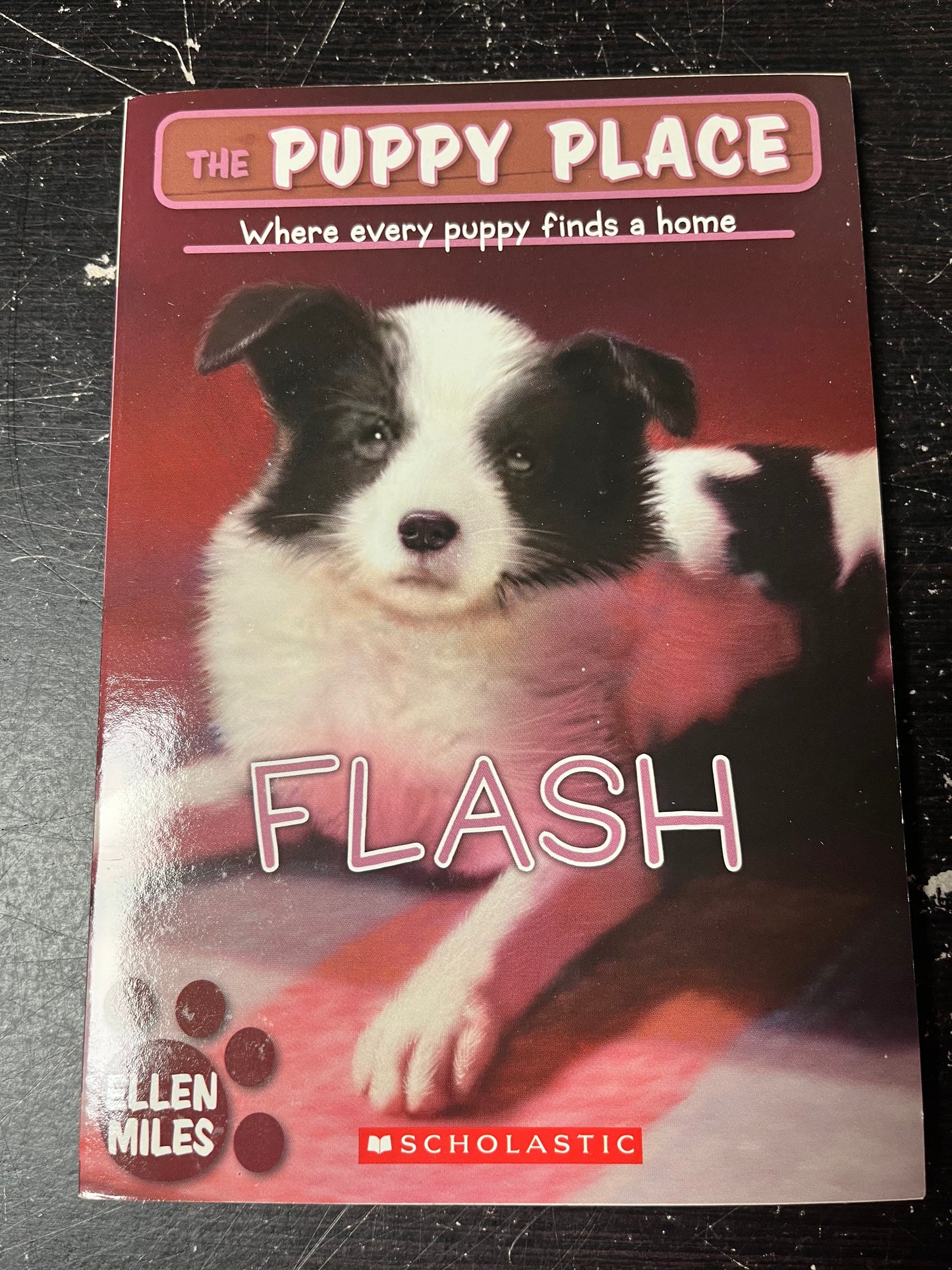 The Puppy Place: Flash