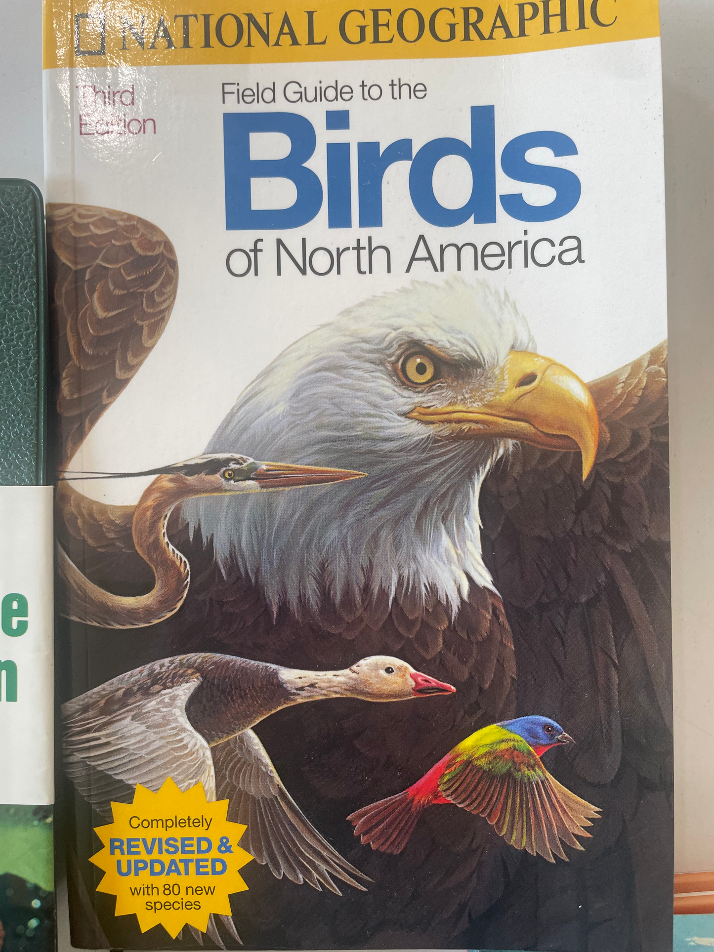 National Geographic Field Guide to the Birds of North America : Revised and Updated