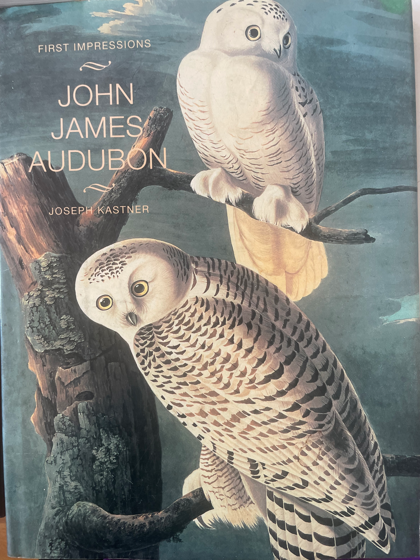 First Impressions: John James Audubon