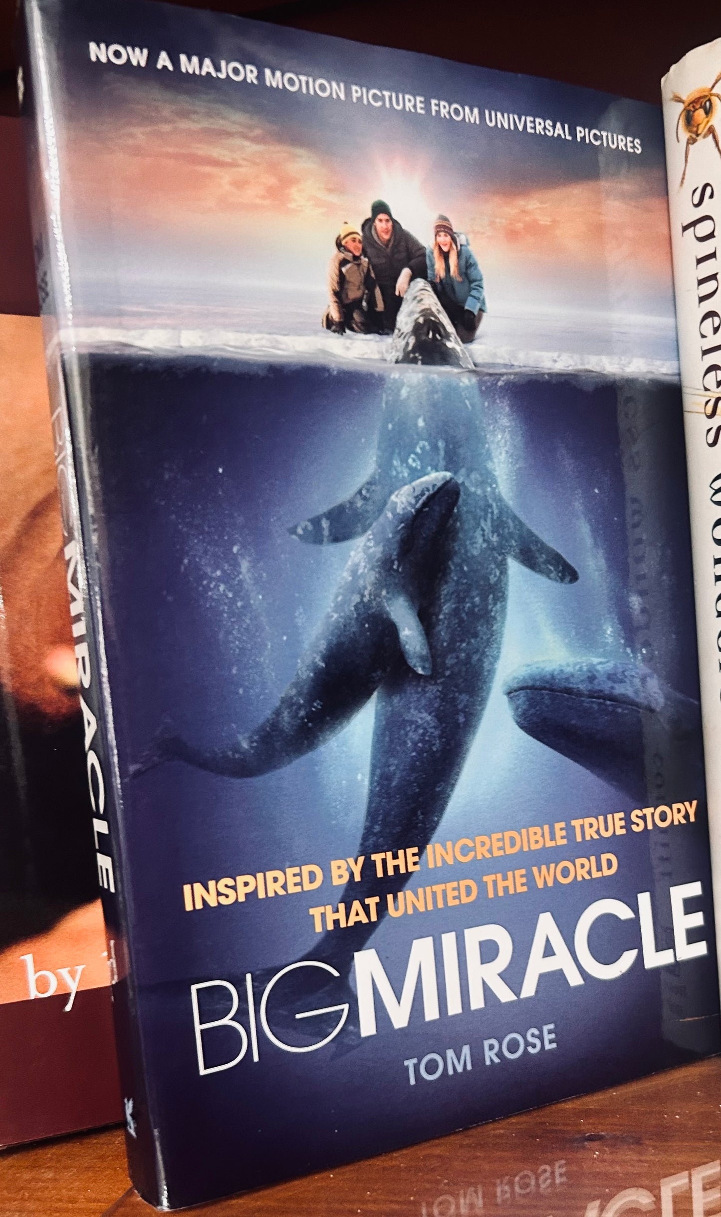 Big Miracle