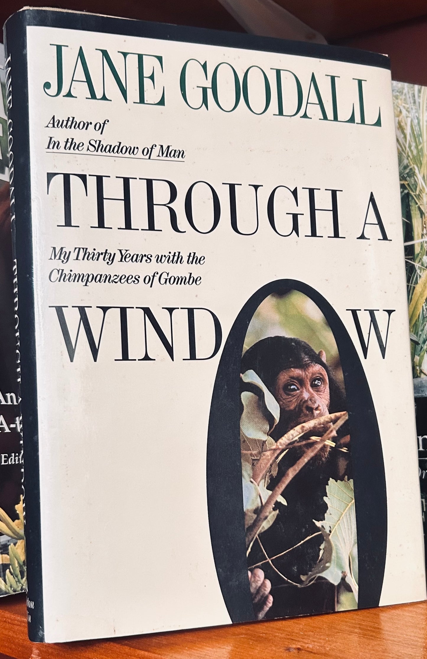 Through a Window: My Thirty Years With the Chimpanzees of Gombe