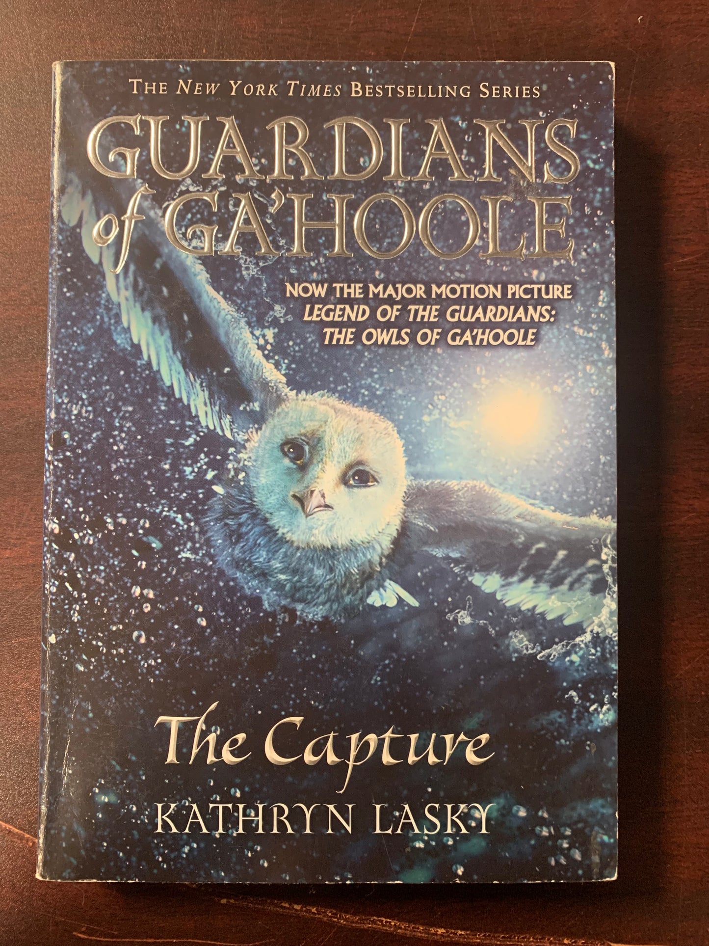 Guardians of Ga'Hoole: The Capture