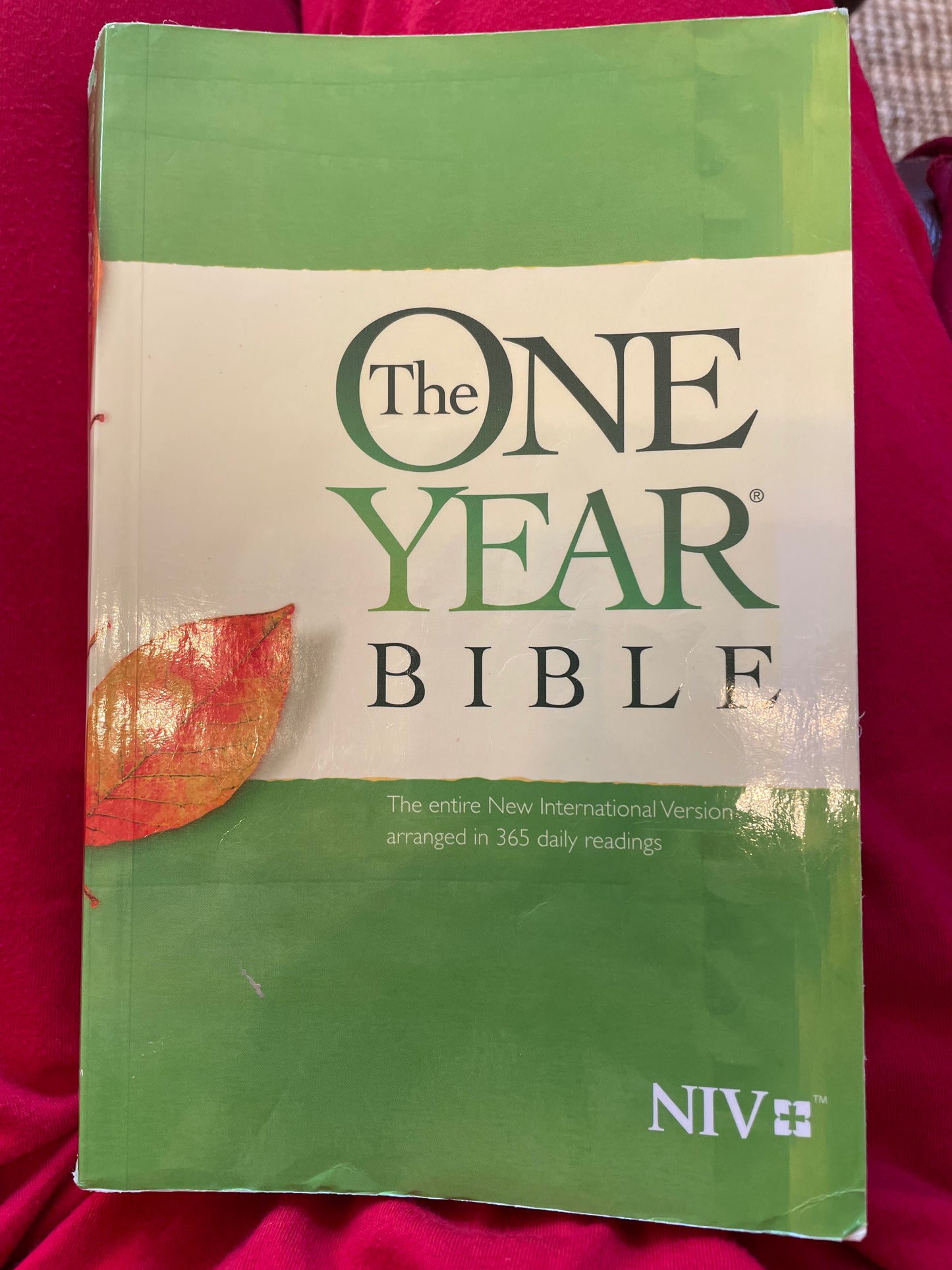 One Year Bible NIV, The