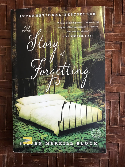 Story of Forgetting: A Novel, The