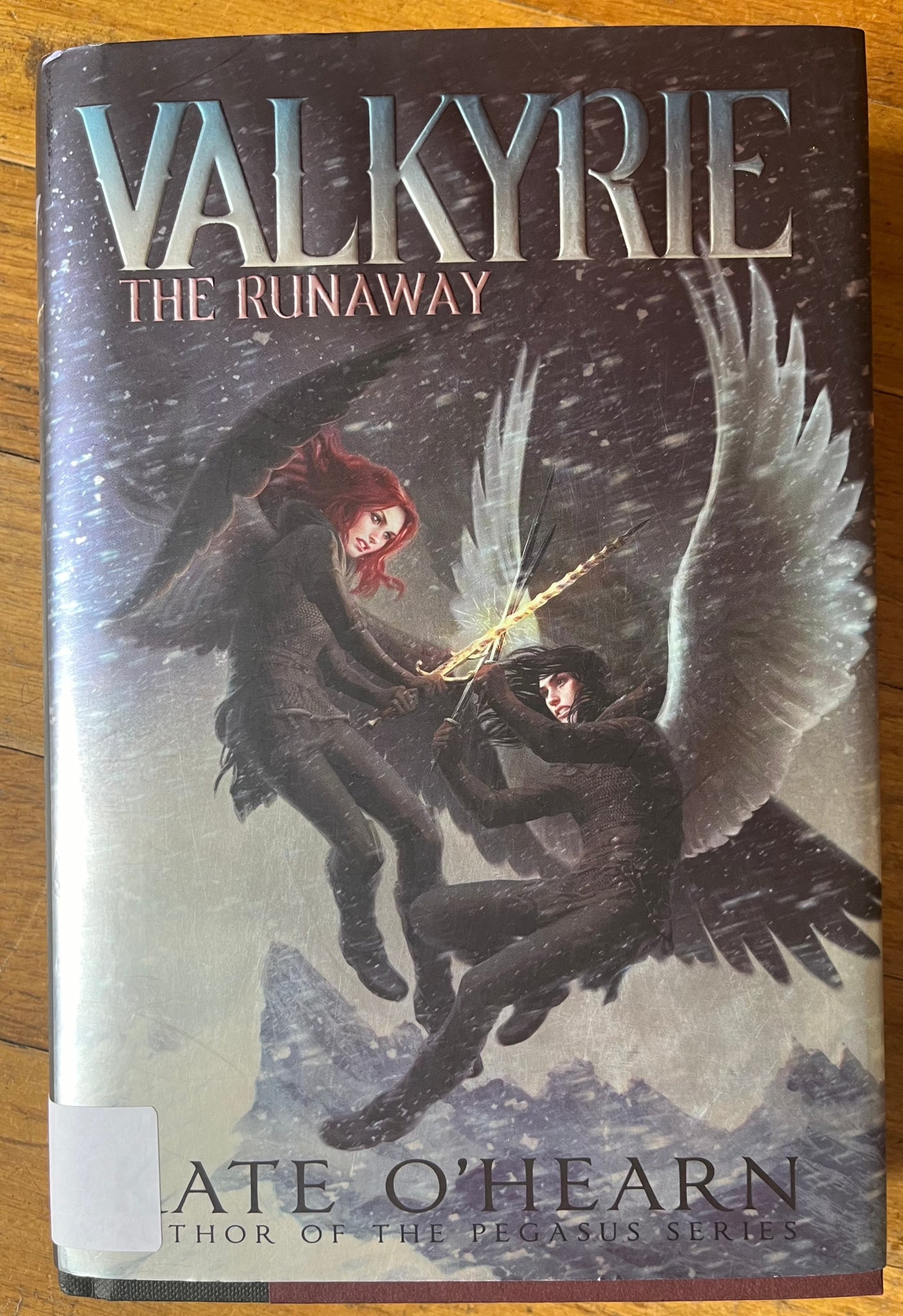 The Runaway (Valkyrie)