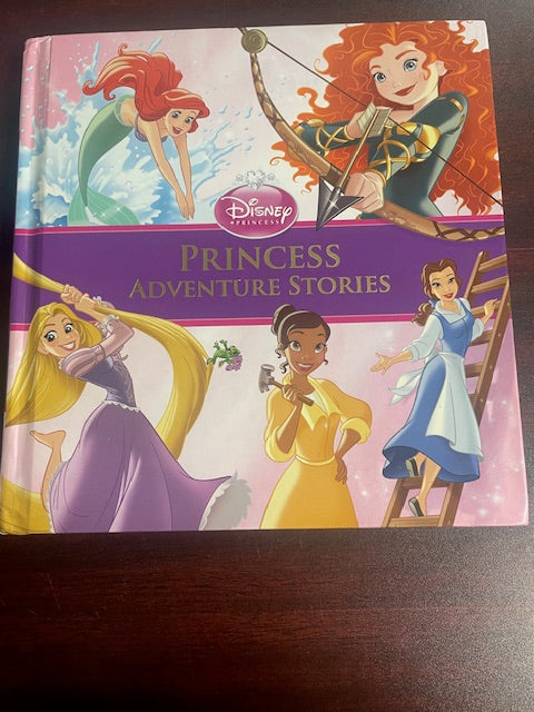 Princess Adventure Stories