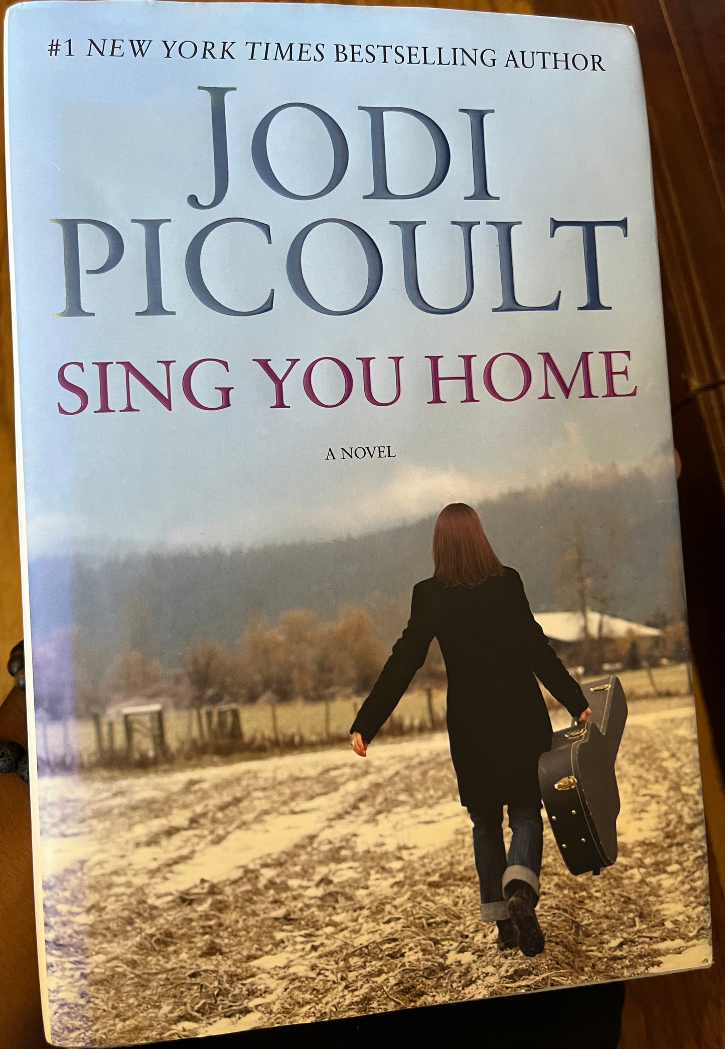 Sing You Home: A Novel