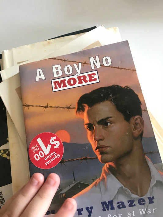 Boy No More, A