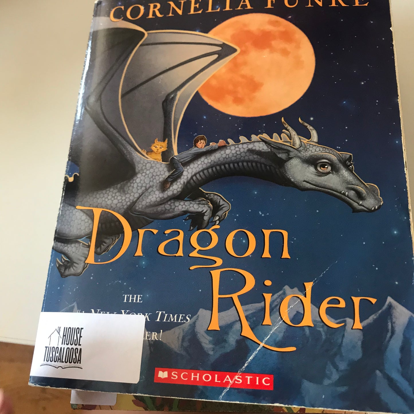 DRAGON RIDER