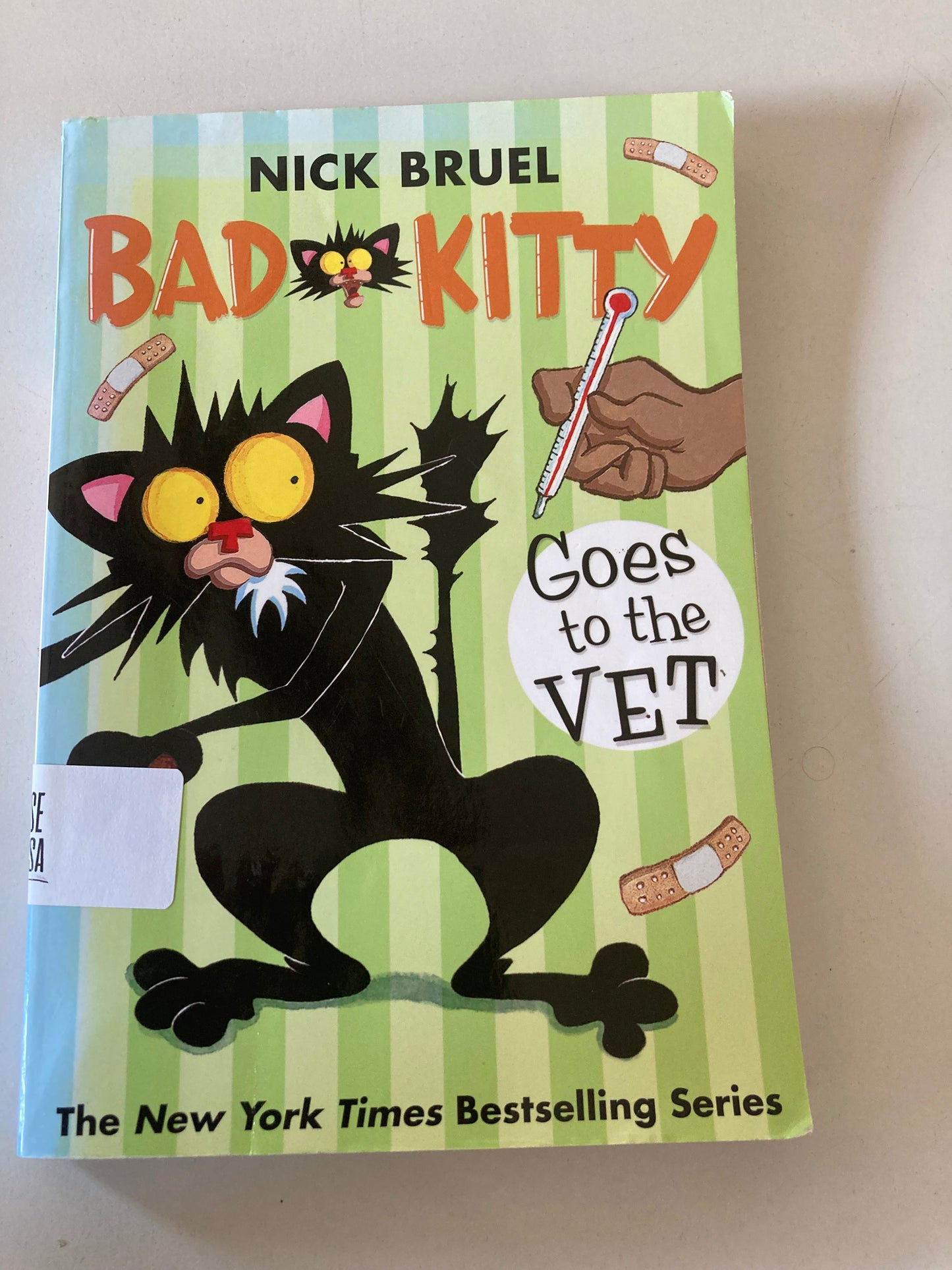 Bad Kitty Goes to the Vet