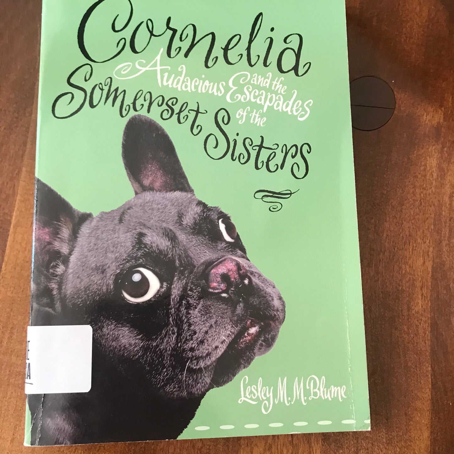 Cornelia and the Audacious Escapades of the Somerset Sisters