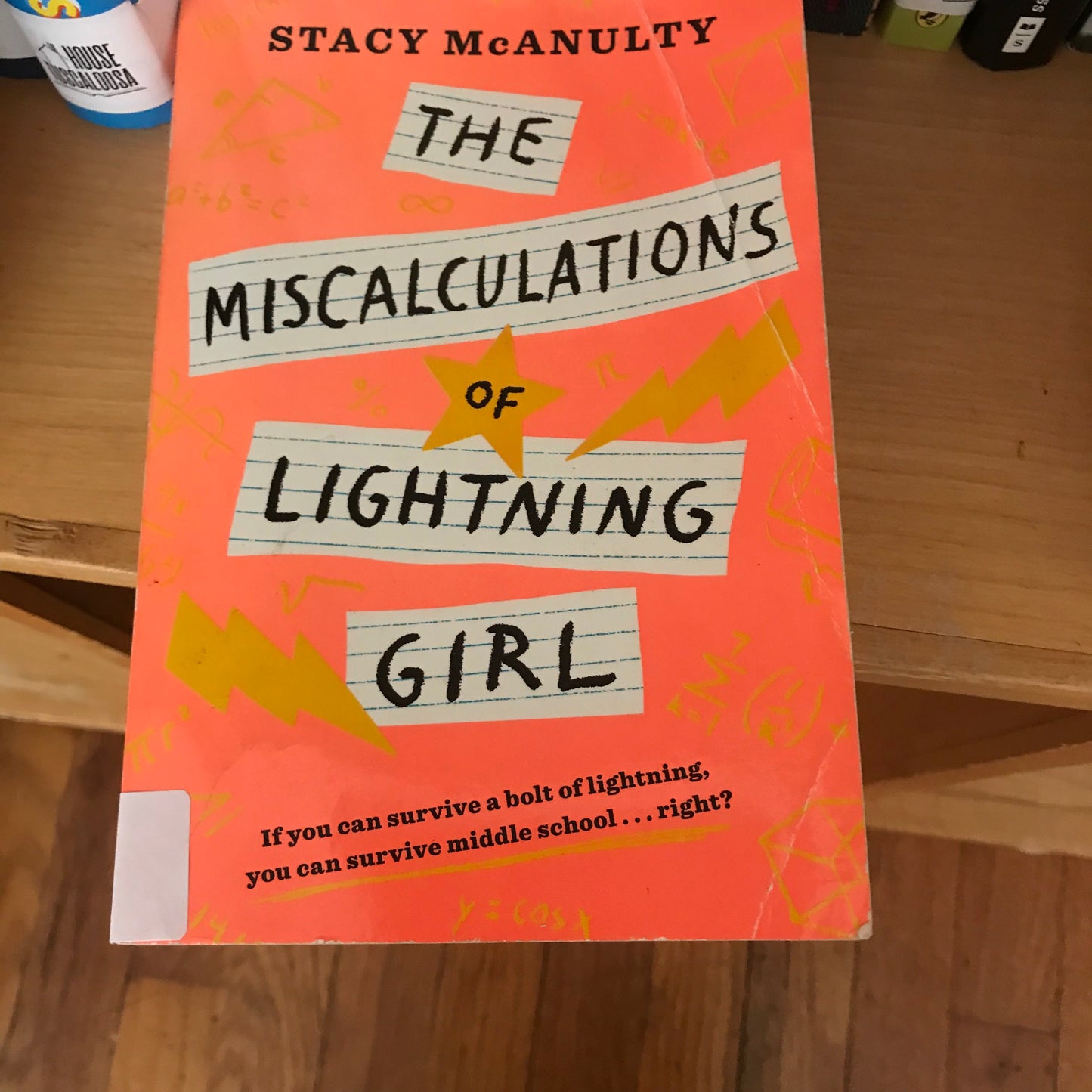 Miscalculations of Lightning Girl, The