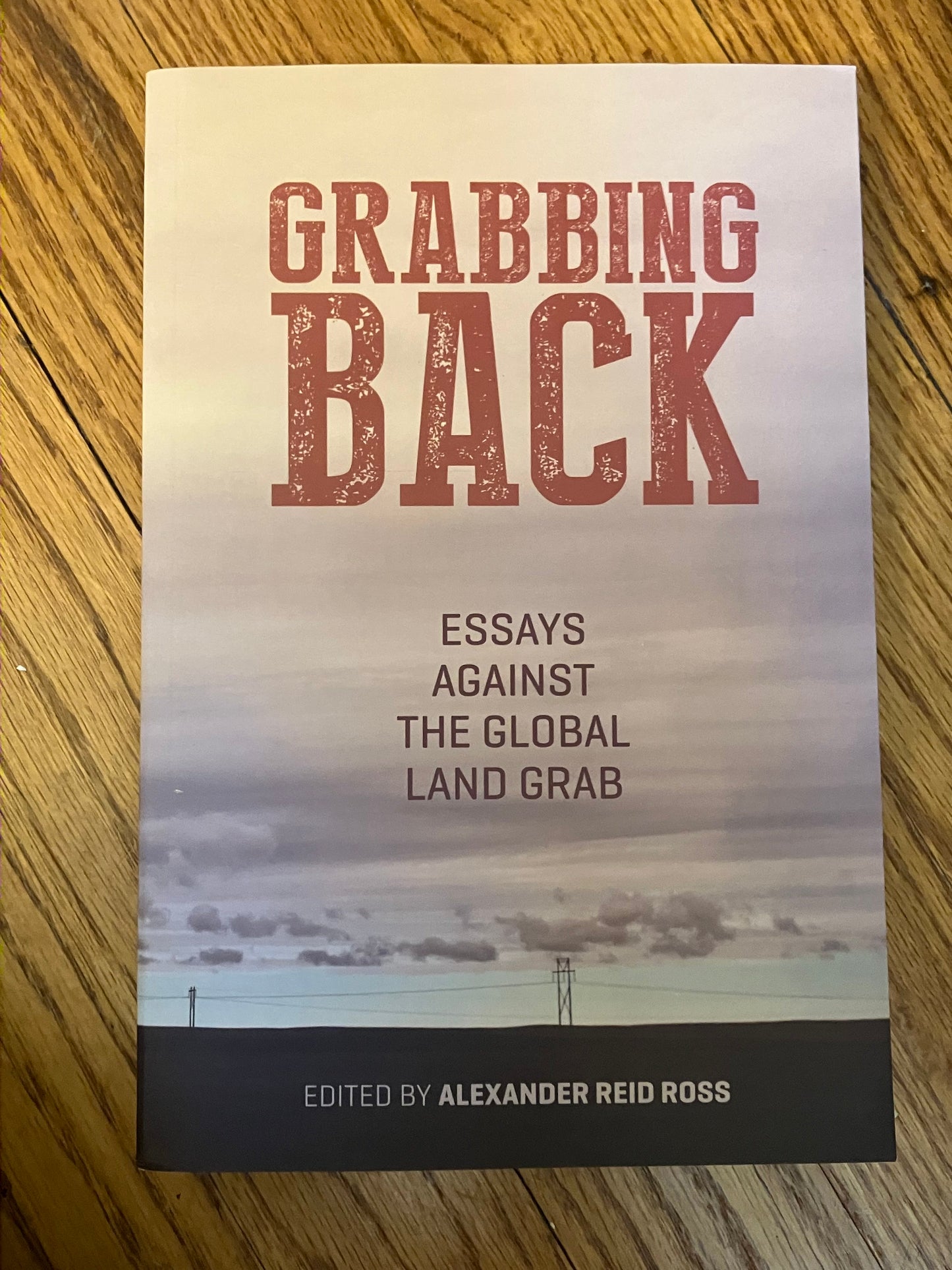 Grabbing Back: Essays Against the Global Land Grab
