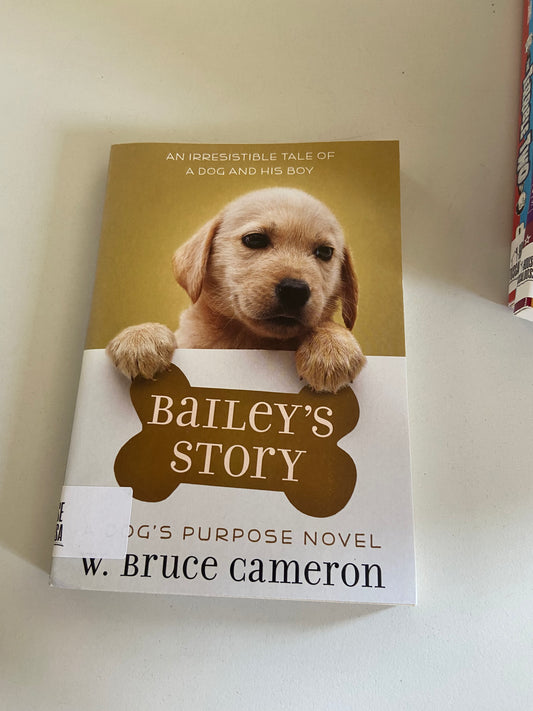 Bailey's Story
