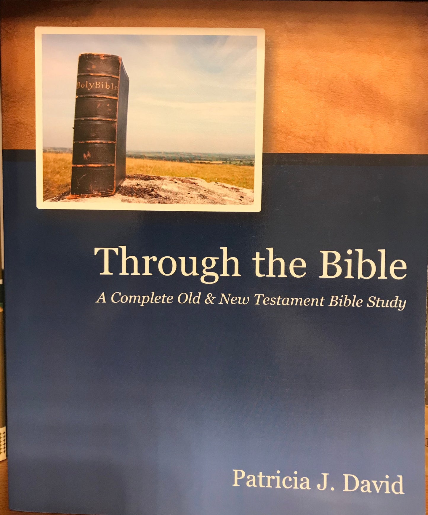 Through the Bible: A Complete Old & New Testament Bible Study