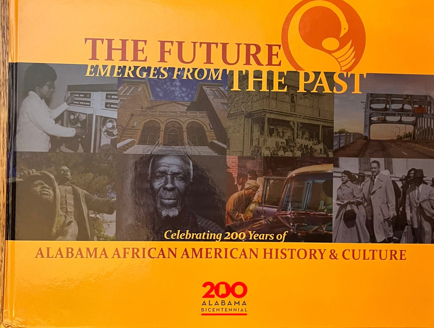 Future Emerges from the Past, The