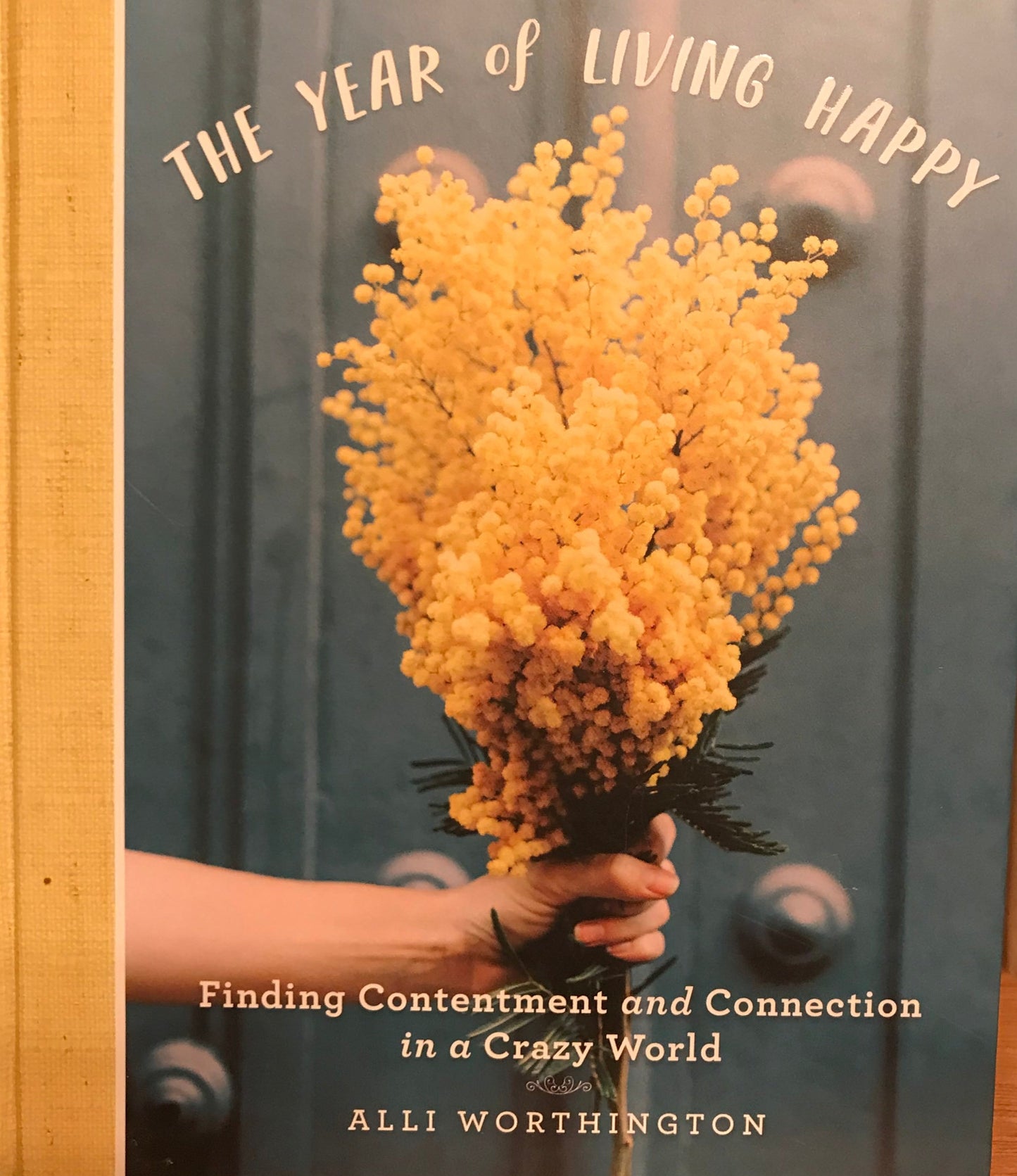 Year of Living Happy: Finding Contentment and Connection in a Crazy World, The