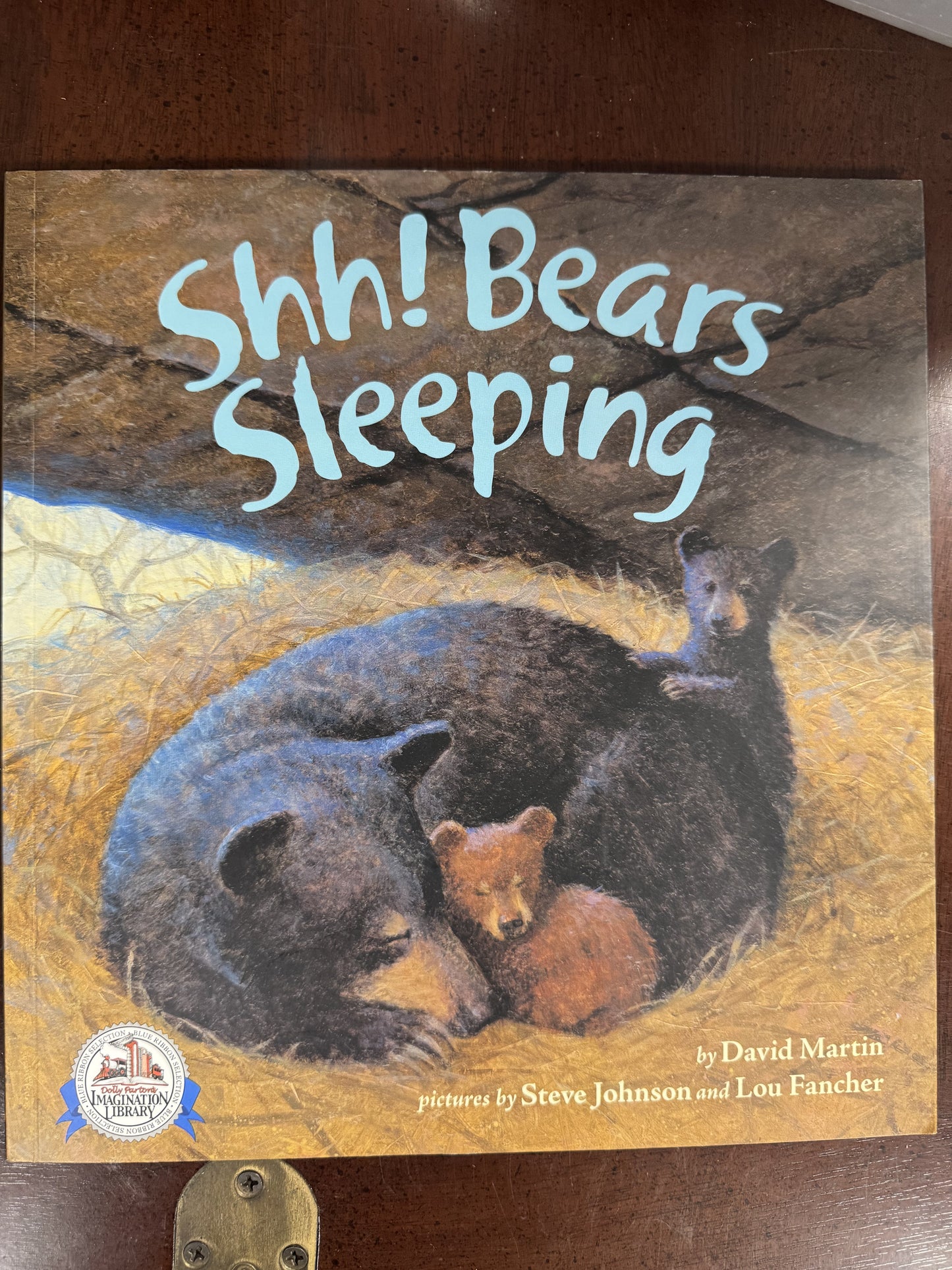 Shh! Bears Sleeping