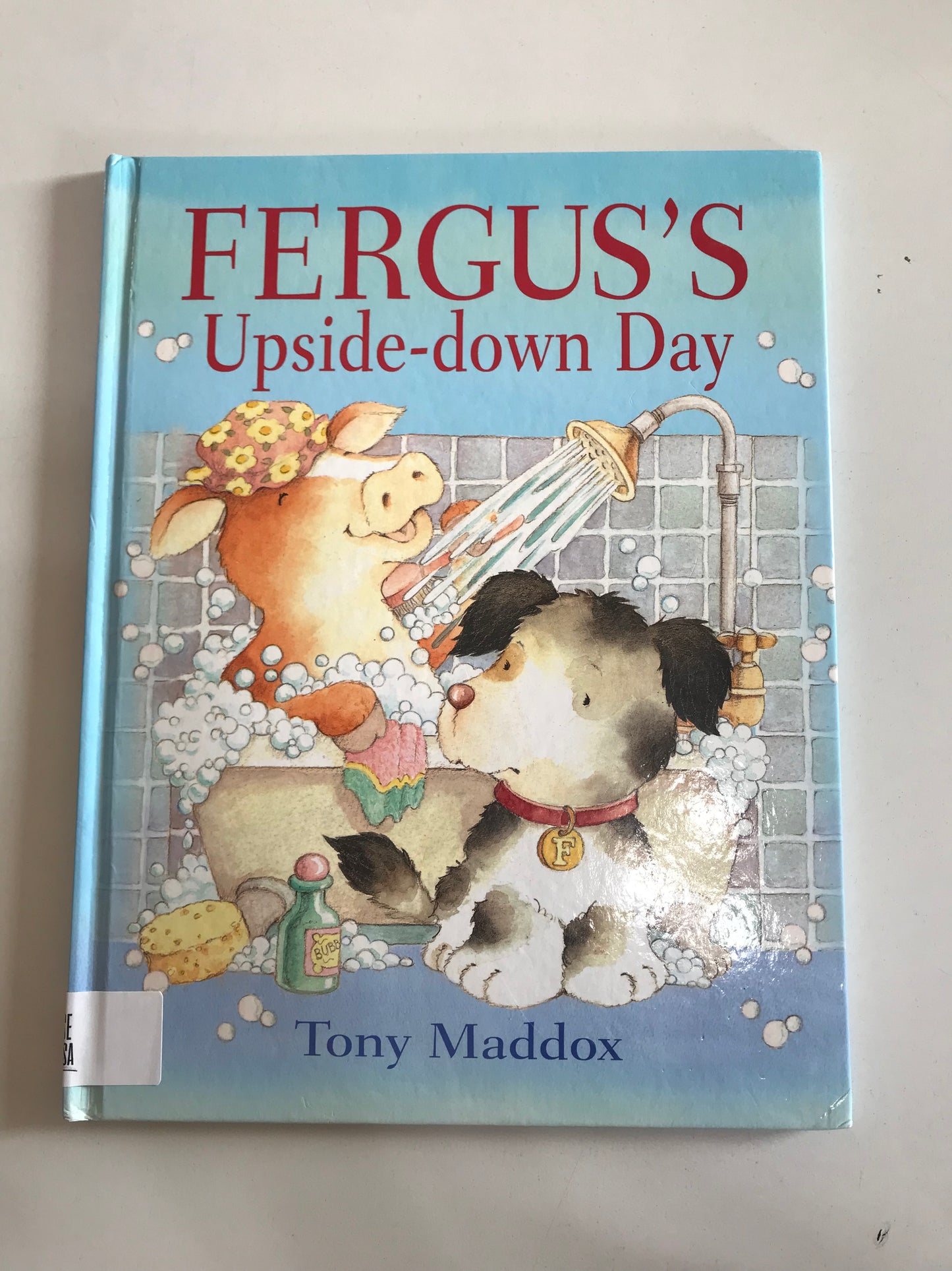 Fergus's Upside-down Day