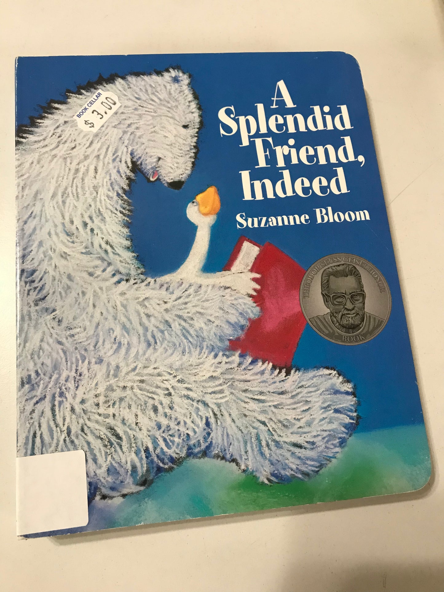 Splendid Friend, Indeed (Goose and Bear Stories), A