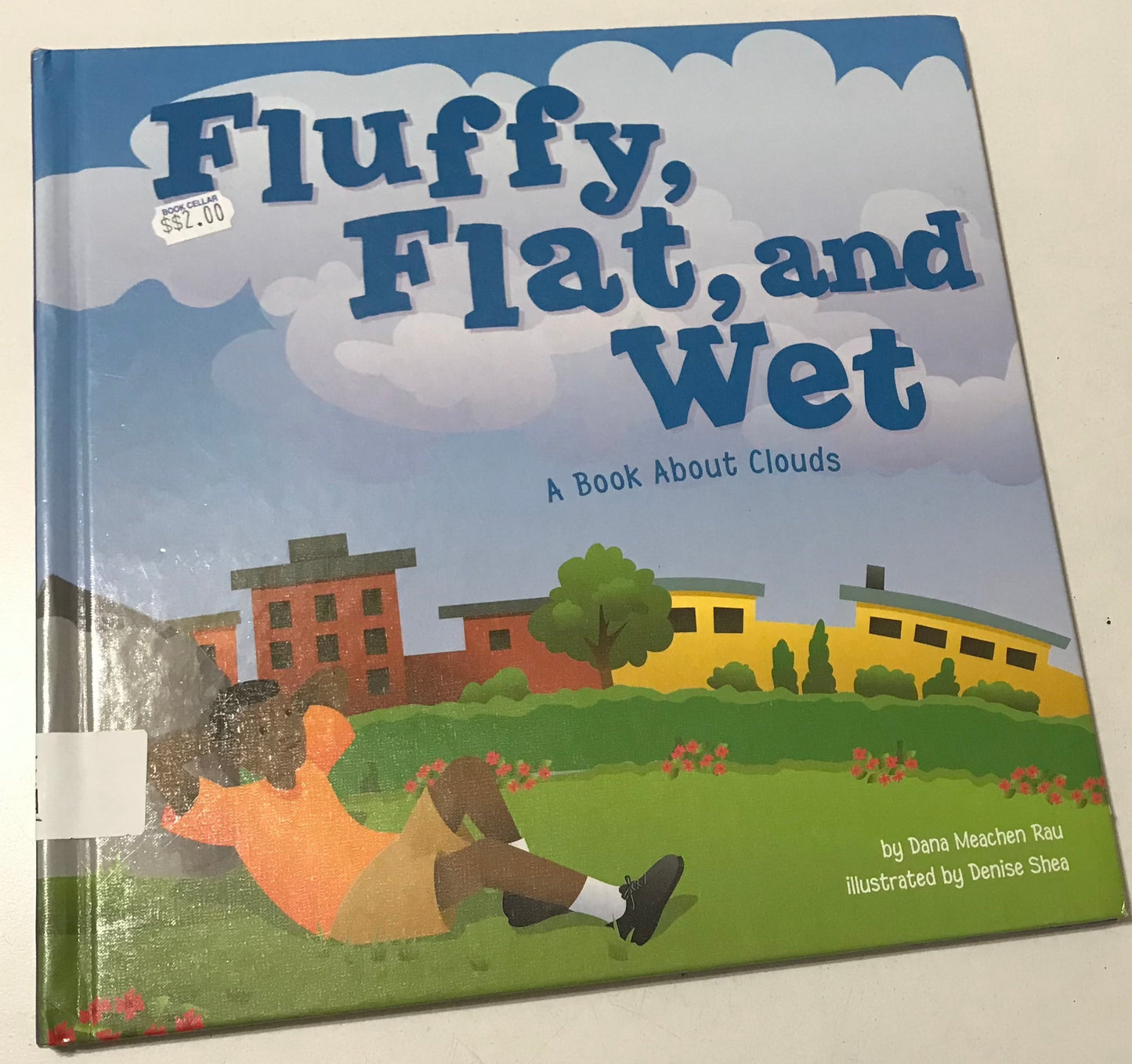 Fluffy, Flat, and Wet: A Book About Clouds (Amazing Science: Exploring the Sky)