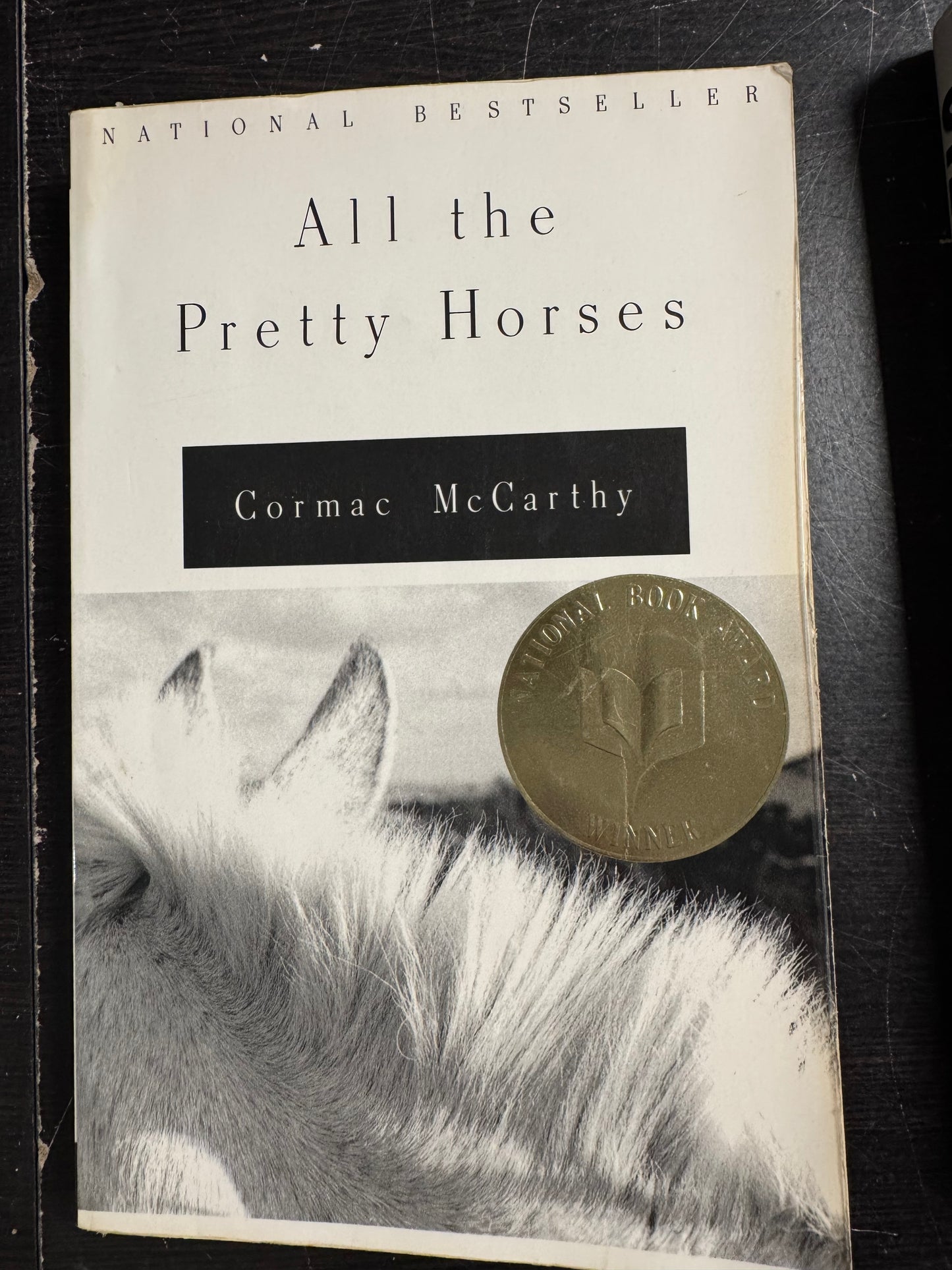 All the Pretty Horses (The Border Trilogy, Book 1)