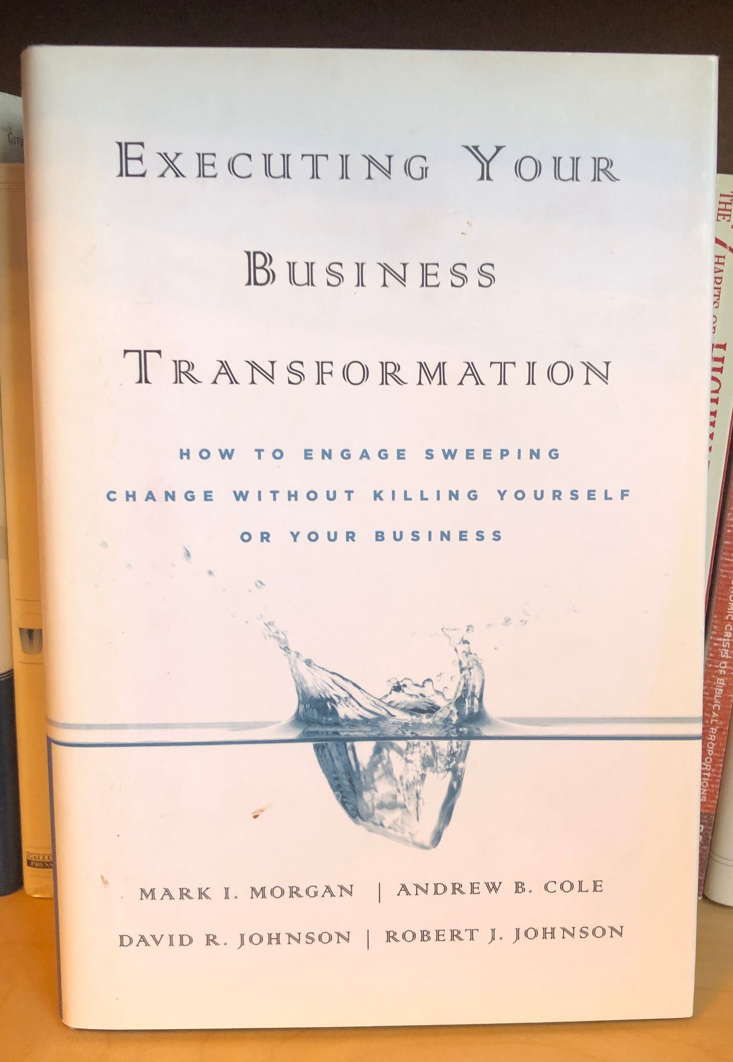 Executing Your Business Transformation: How to Engage Sweeping Change Without Killing Yourself Or Your Business