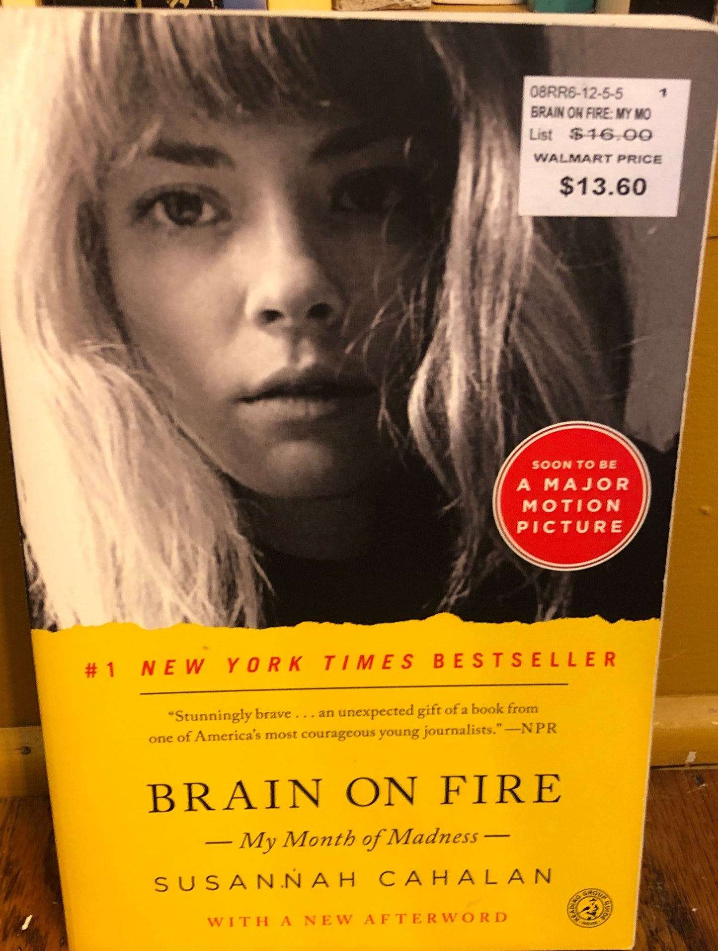 Brain on Fire: My Month of Madness